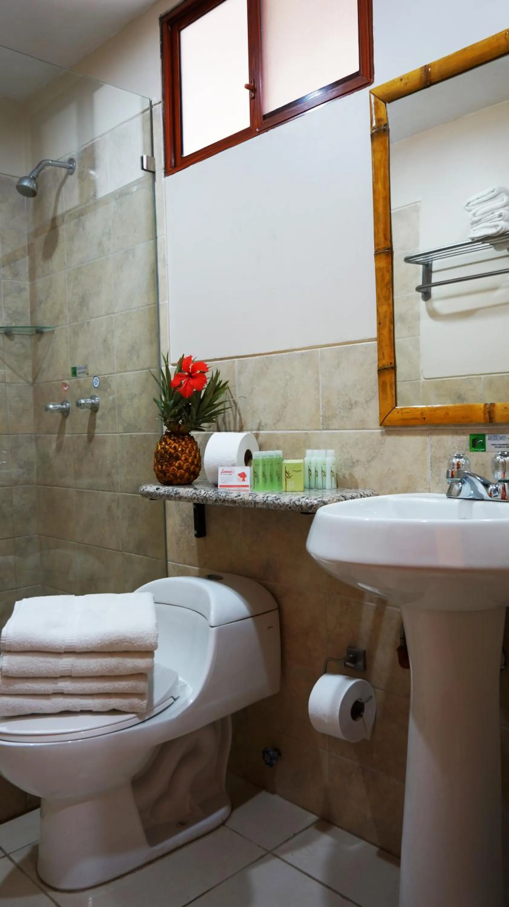 Nativa Bambu Ecolodge