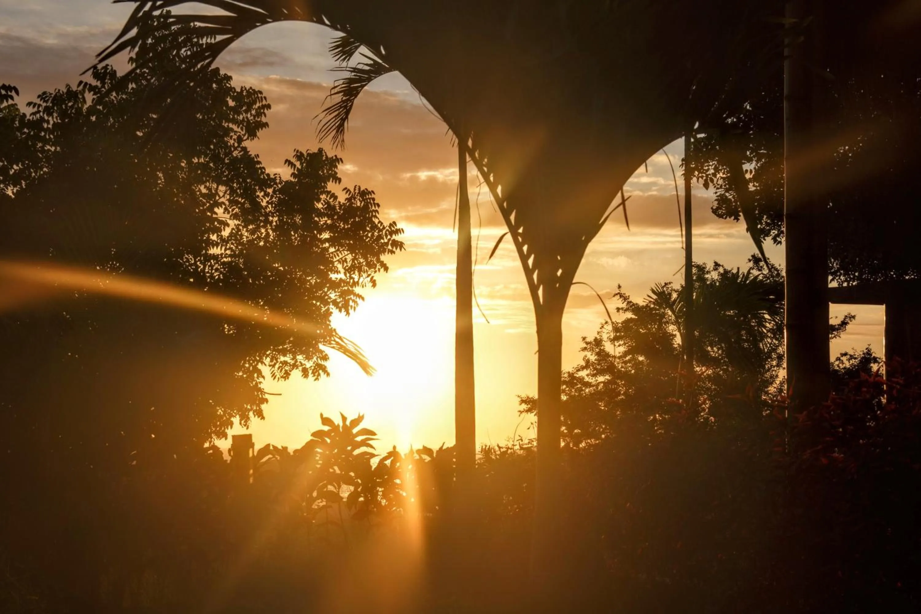 Spring in Nativa Bambu Ecolodge