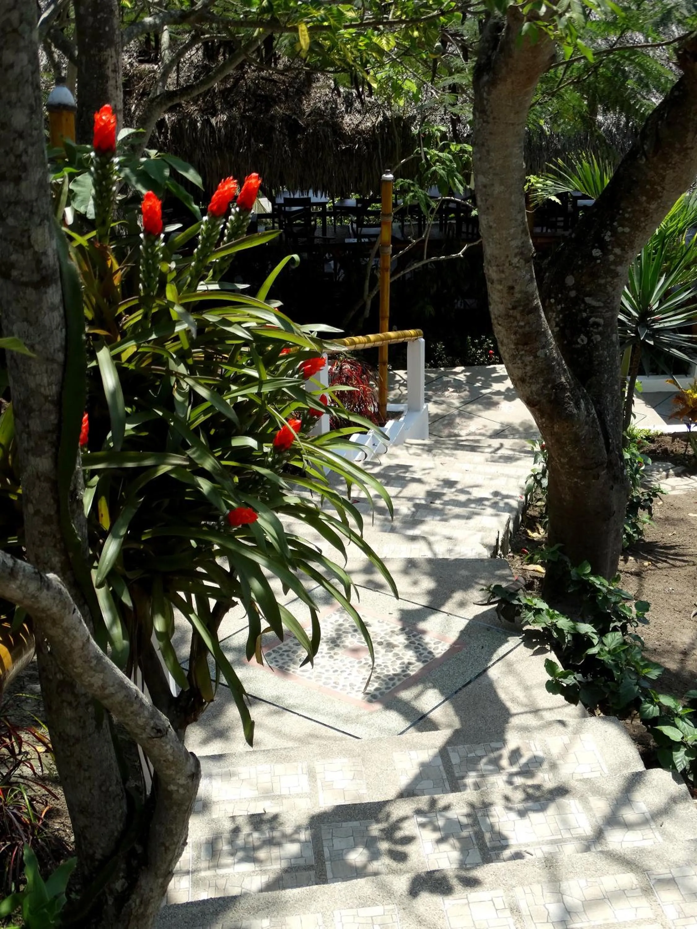 Natural landscape in Nativa Bambu Ecolodge