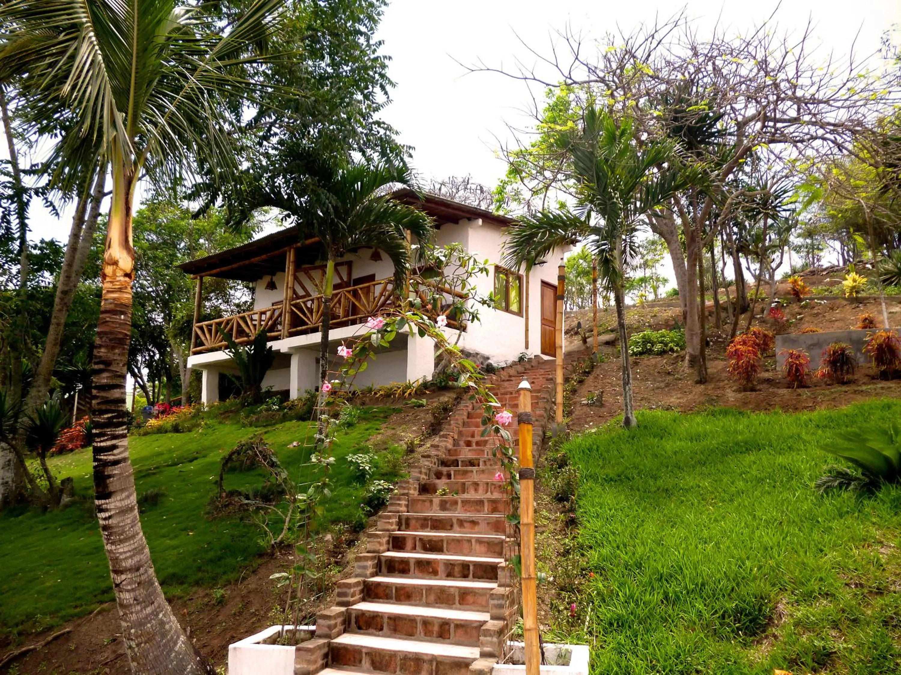 Garden in Nativa Bambu Ecolodge