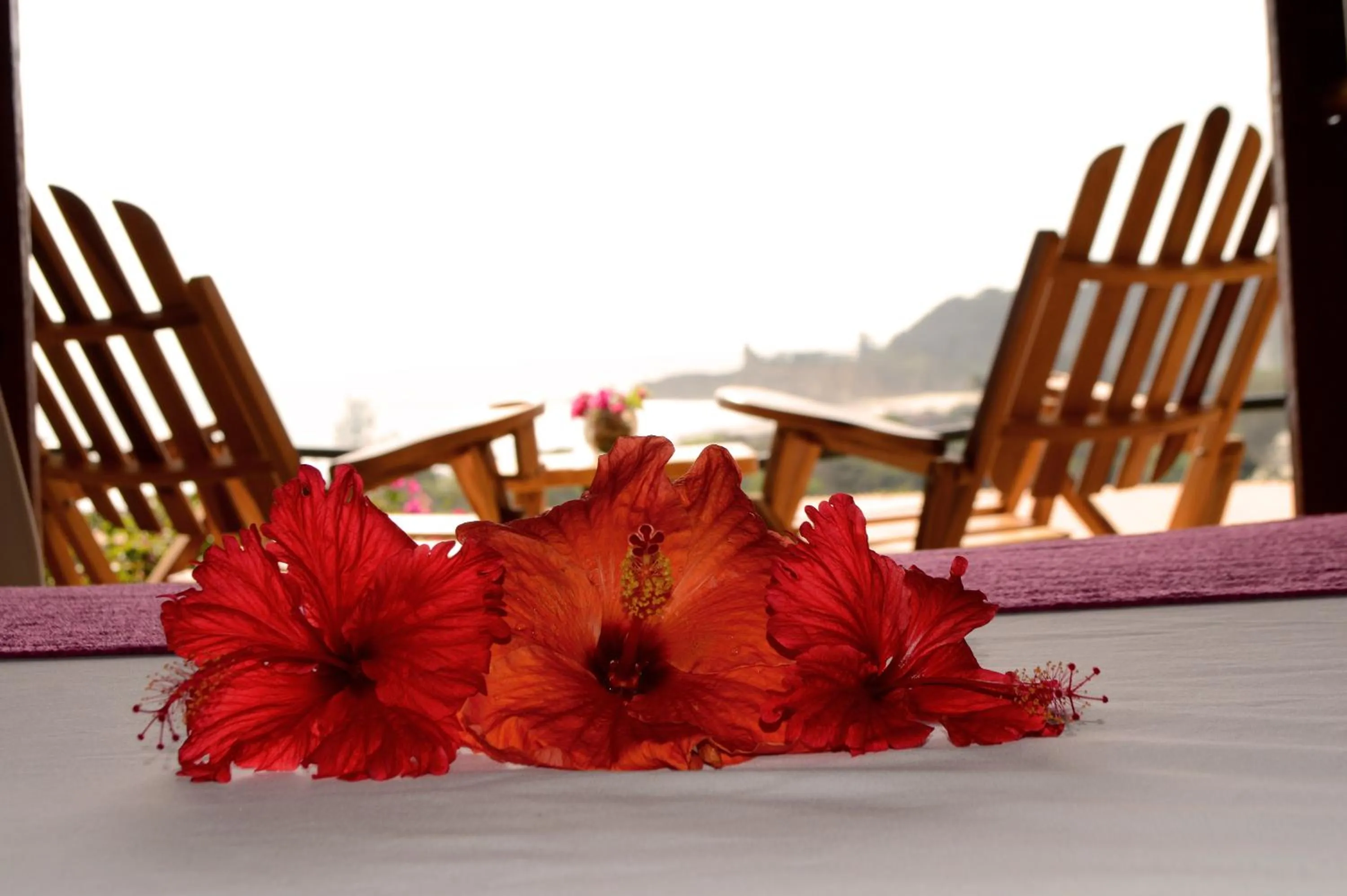 Bed in Nativa Bambu Ecolodge