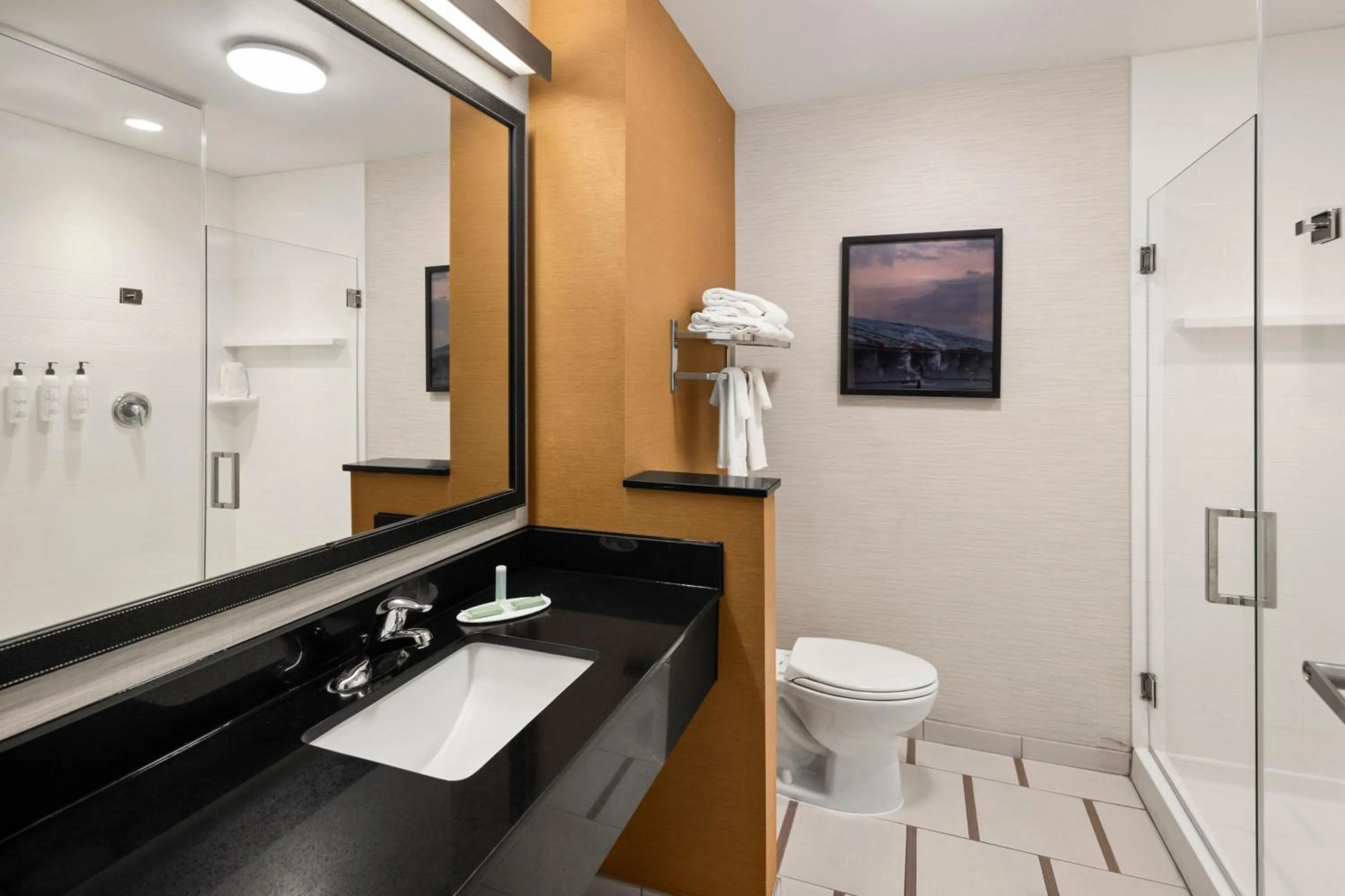 Bathroom in Fairfield Inn & Suites by Marriott Waterloo Cedar Falls