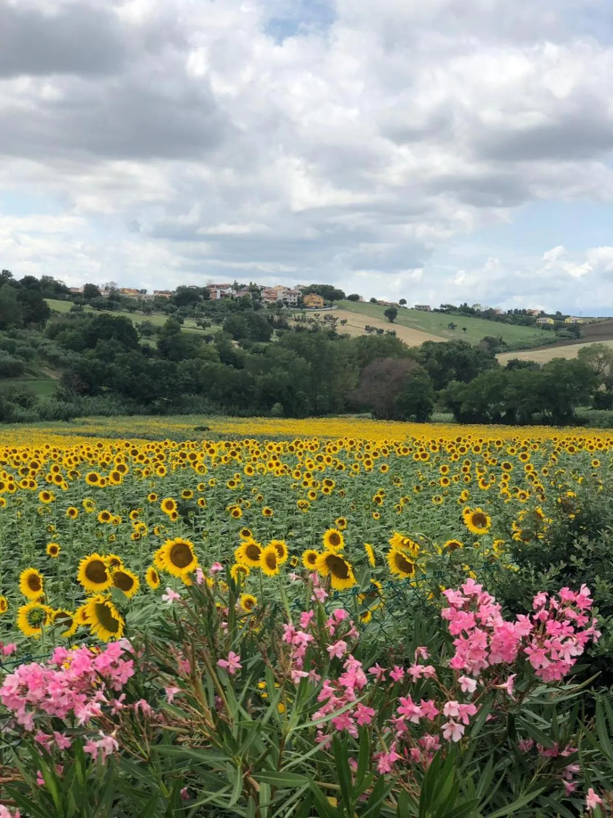Landmark view in Fontebella