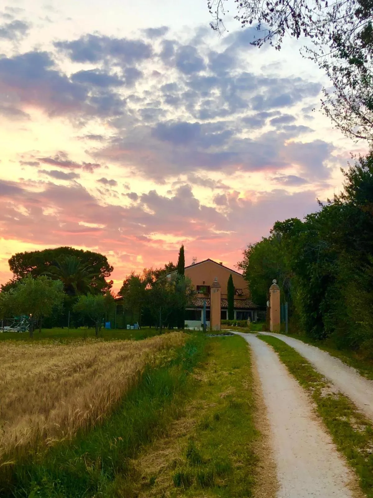 Facade/entrance in Fontebella