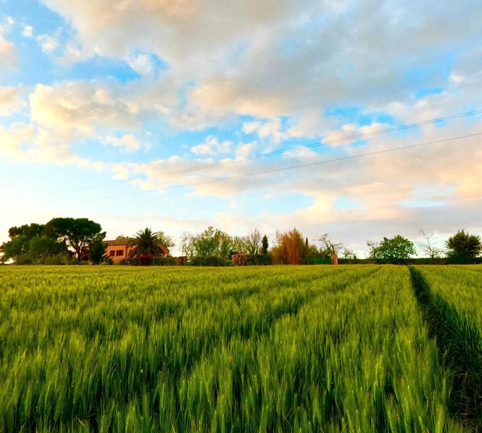 View (from property/room) in Fontebella