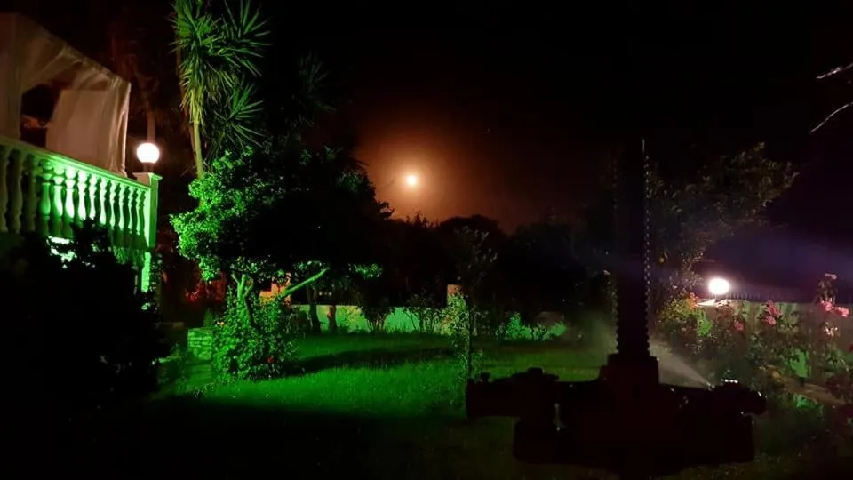 Garden in Anthis Studios