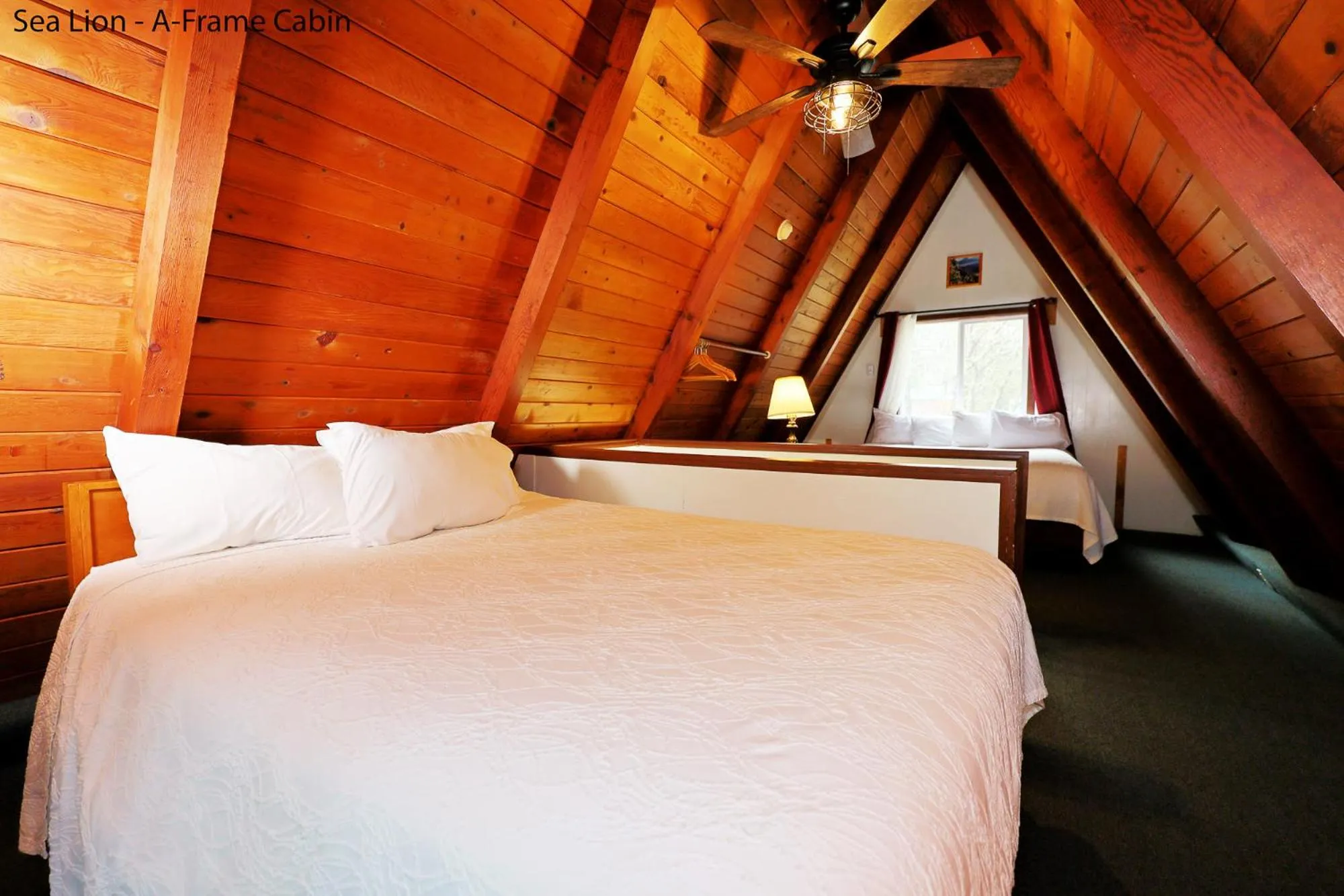 Bed in Park Motel and Cabins