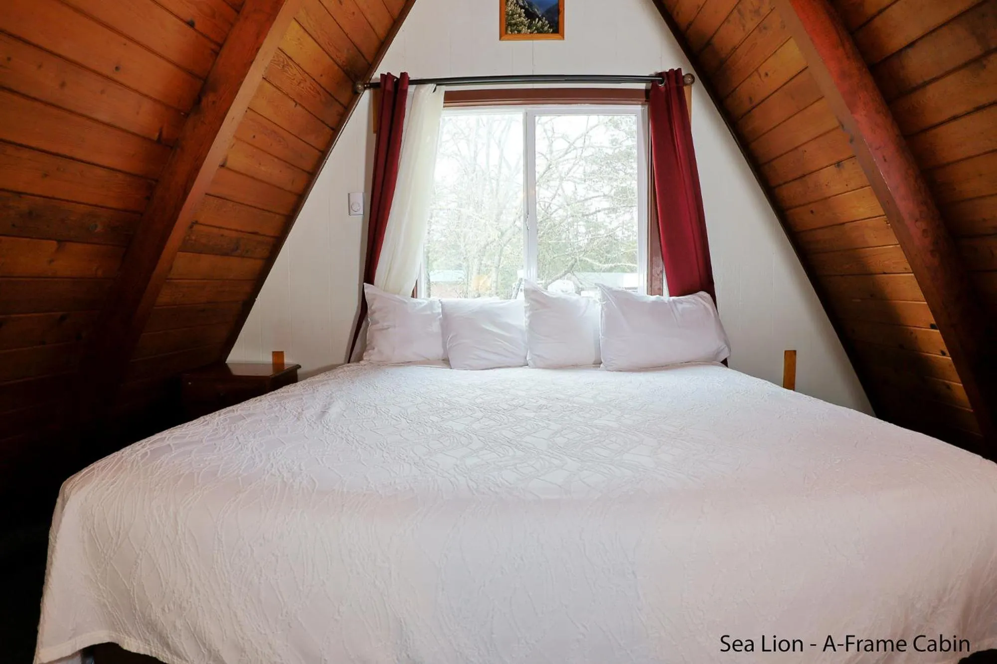 Bed in Park Motel and Cabins