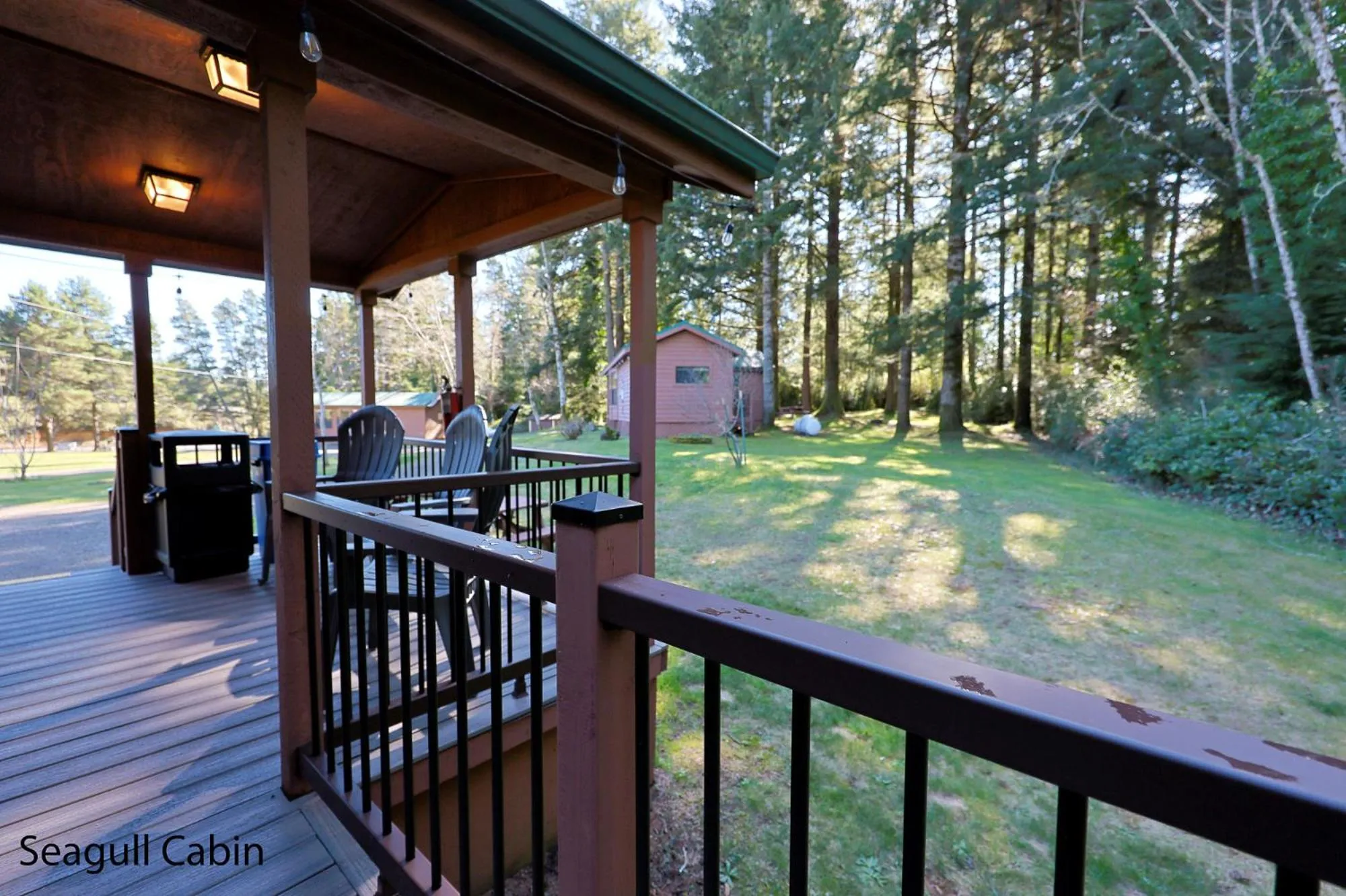 Natural landscape in Park Motel and Cabins