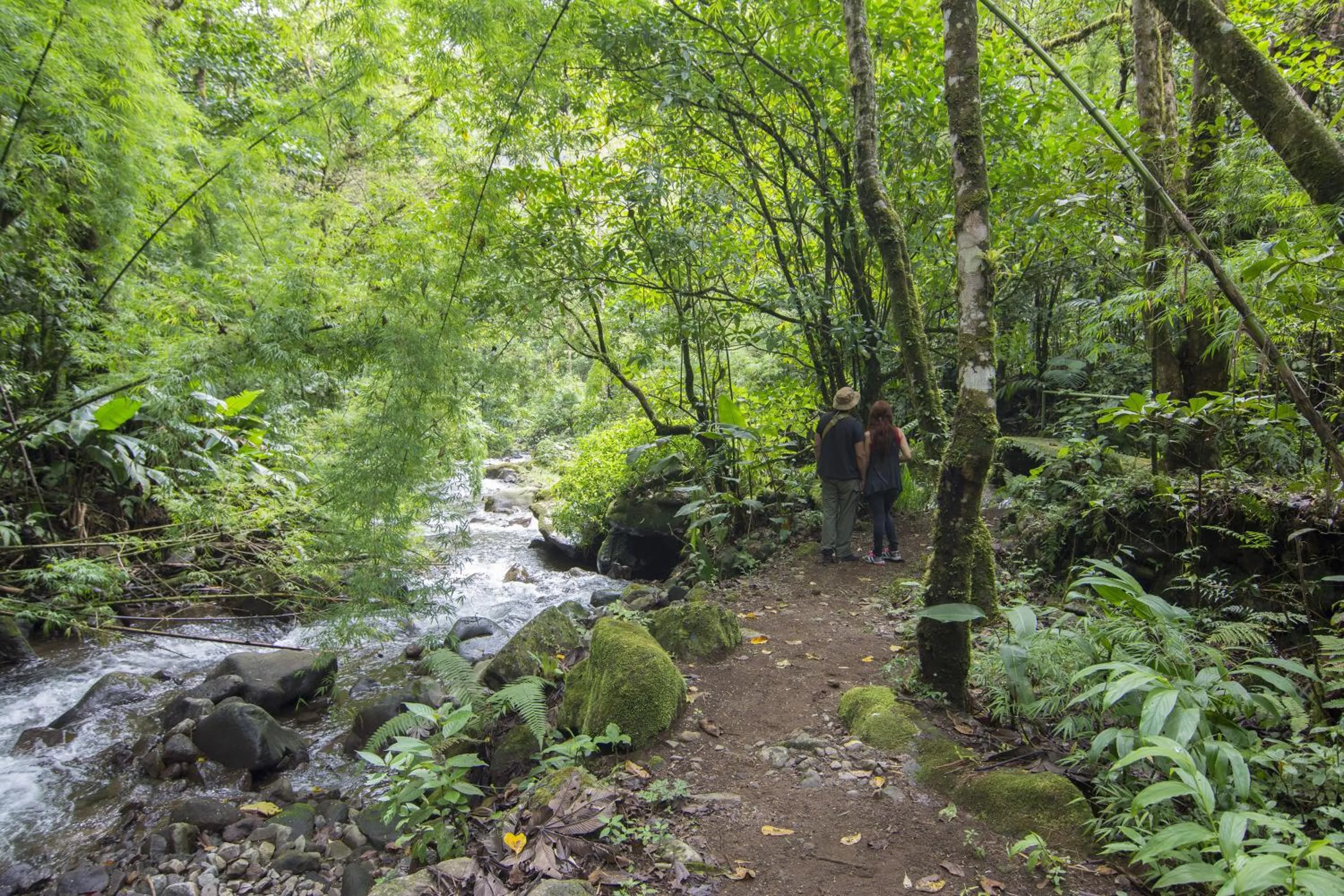 Facade/entrance in Bosque de Paz Reserva Biologica