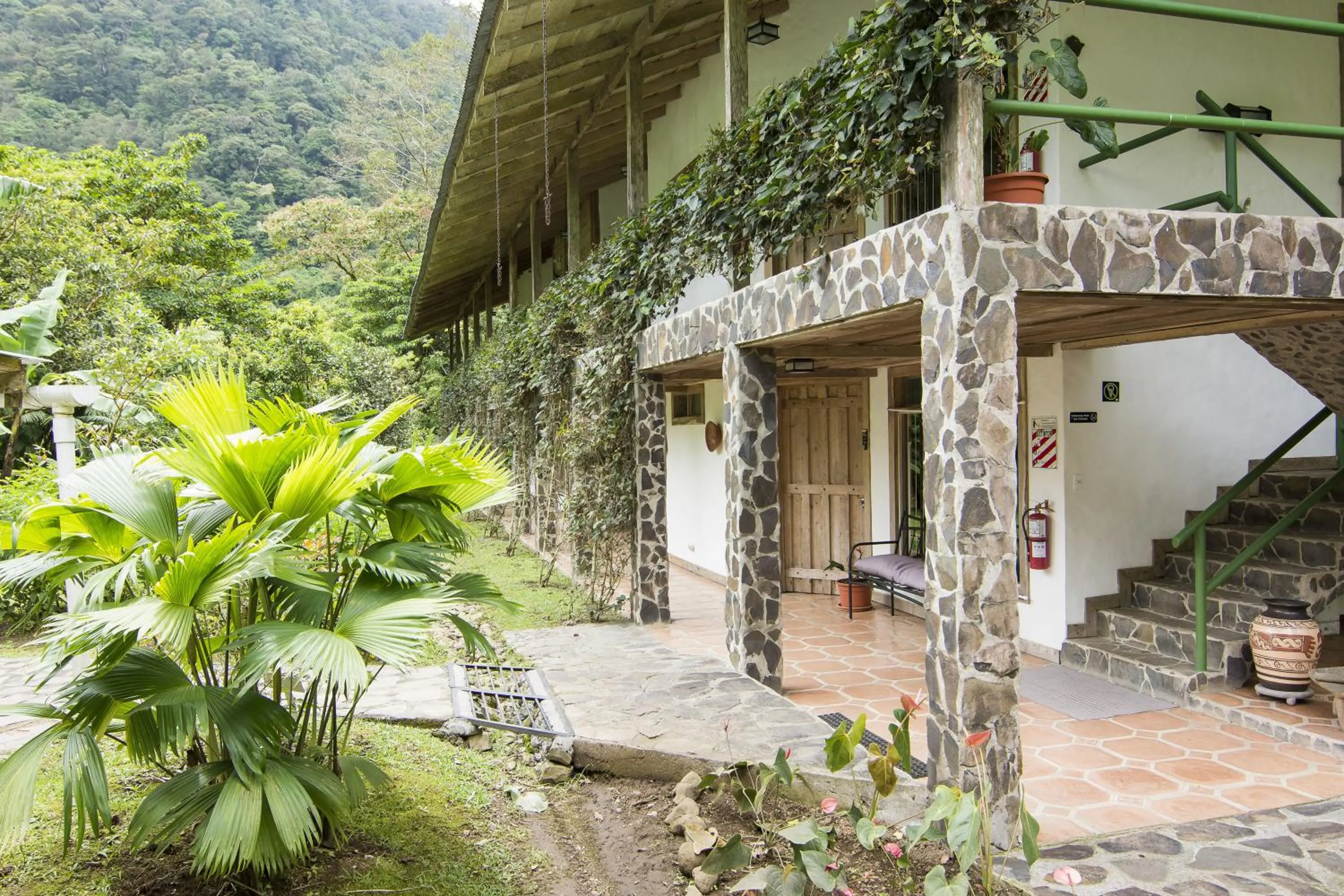 Garden in Bosque de Paz Reserva Biologica