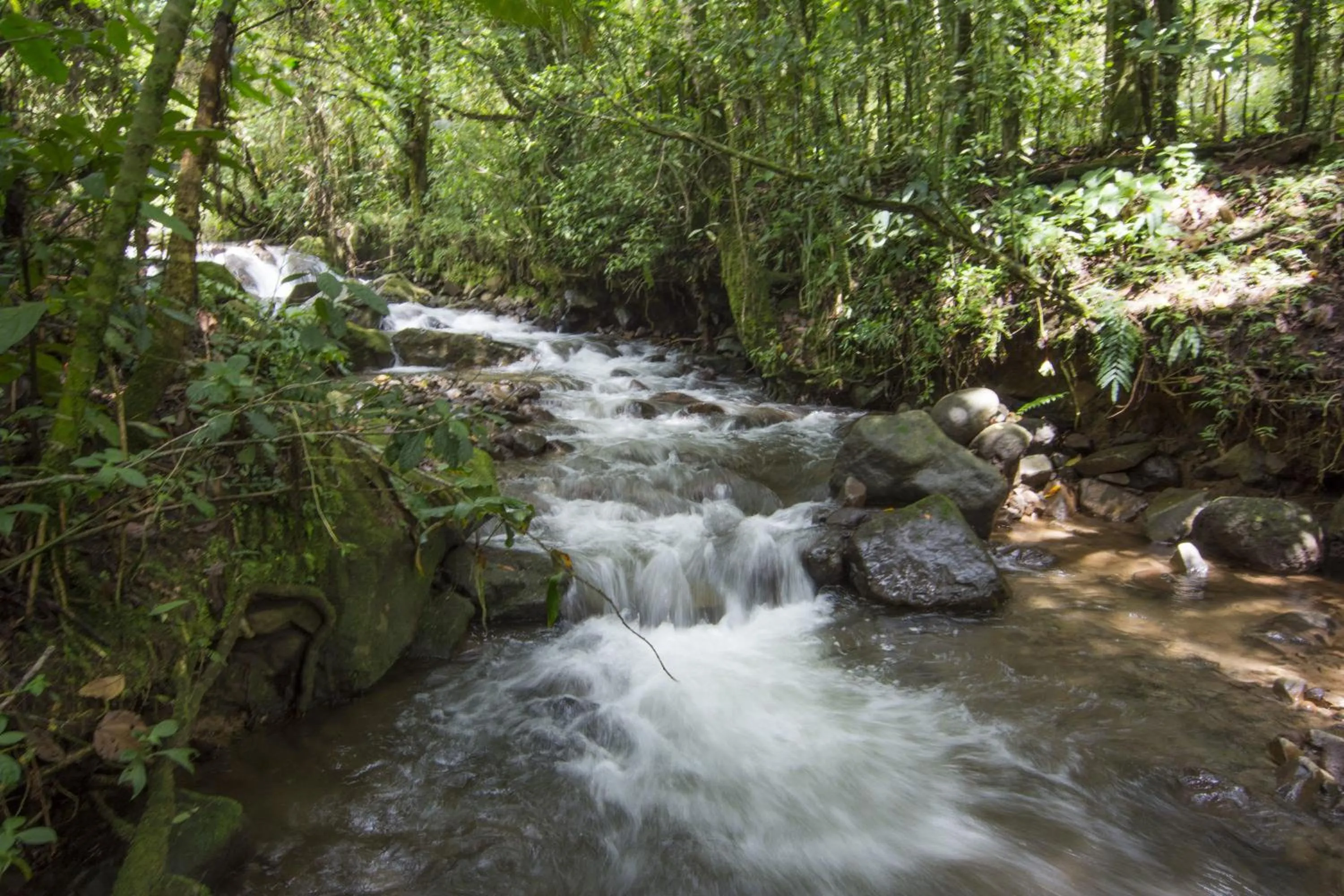 Facade/entrance in Bosque de Paz Reserva Biologica
