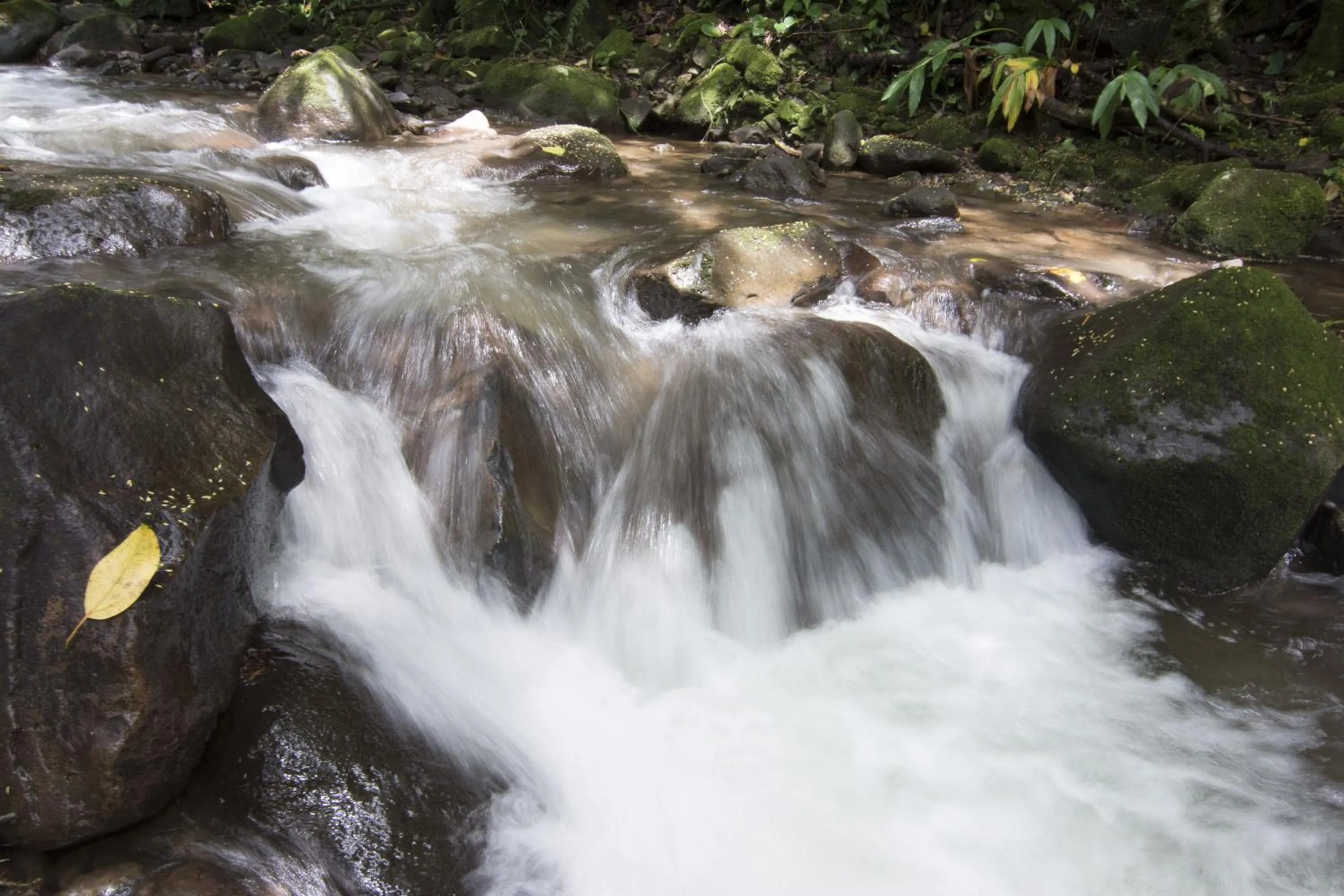Facade/entrance in Bosque de Paz Reserva Biologica