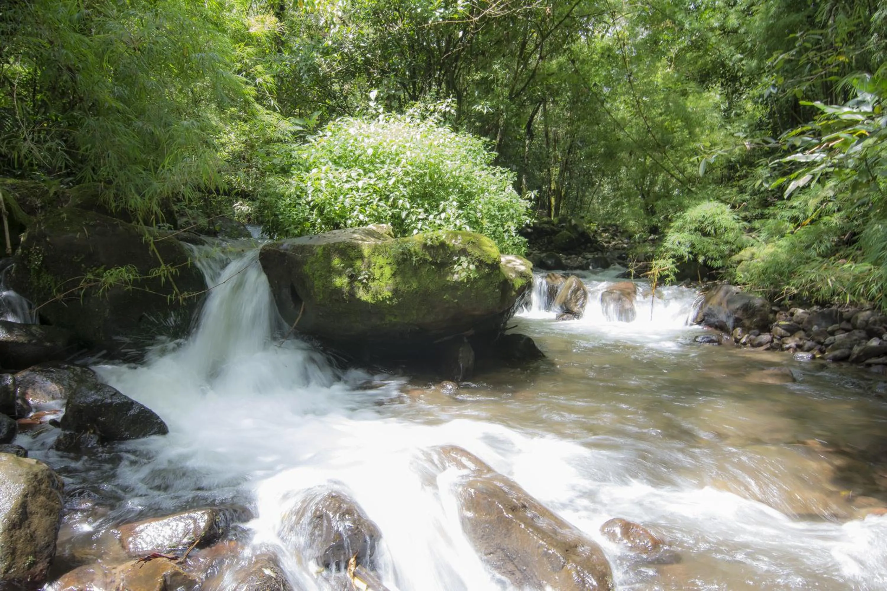 Facade/entrance in Bosque de Paz Reserva Biologica