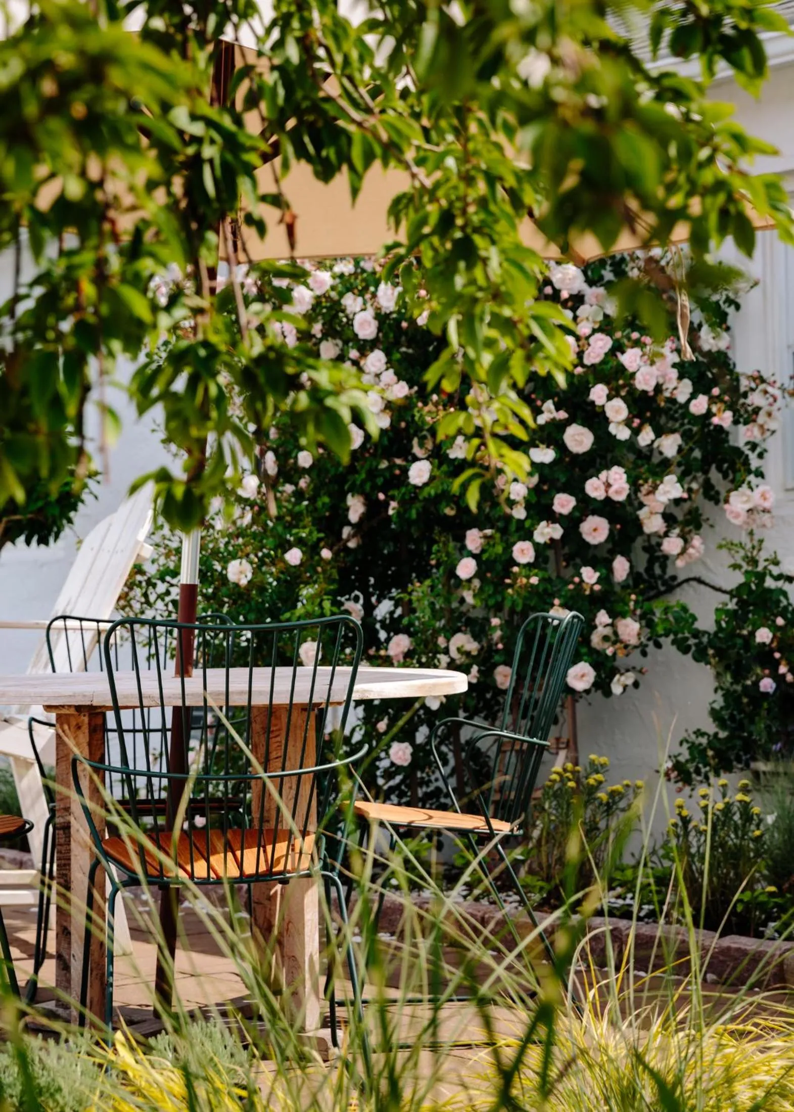 Swimming pool in Daunts Albatross Motel