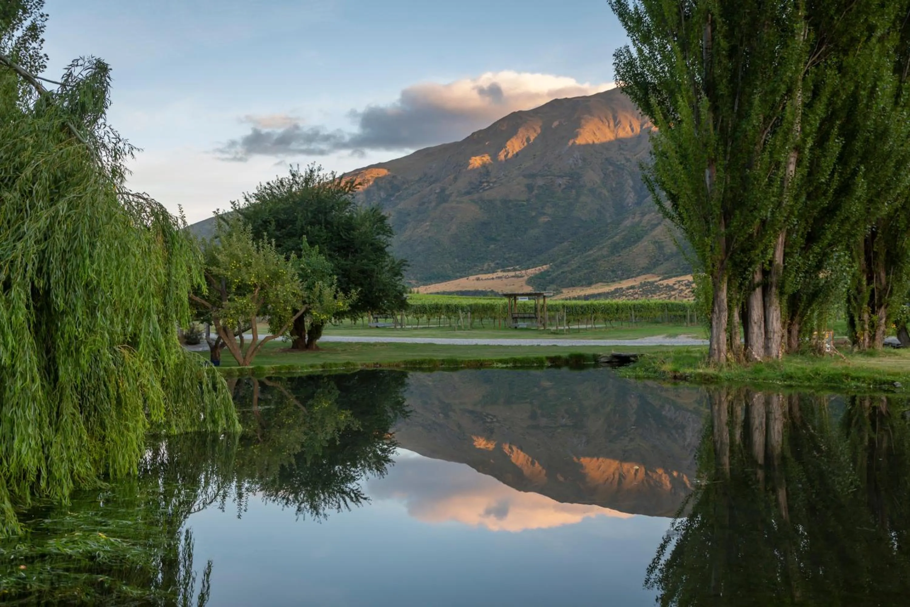 Natural landscape in Cottages at Kinross
