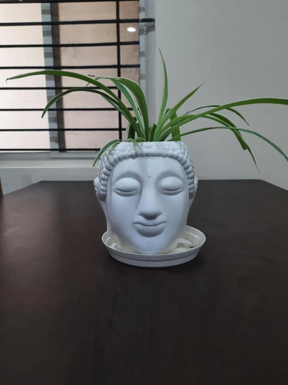 Staeg Heart of City 2BHK 201