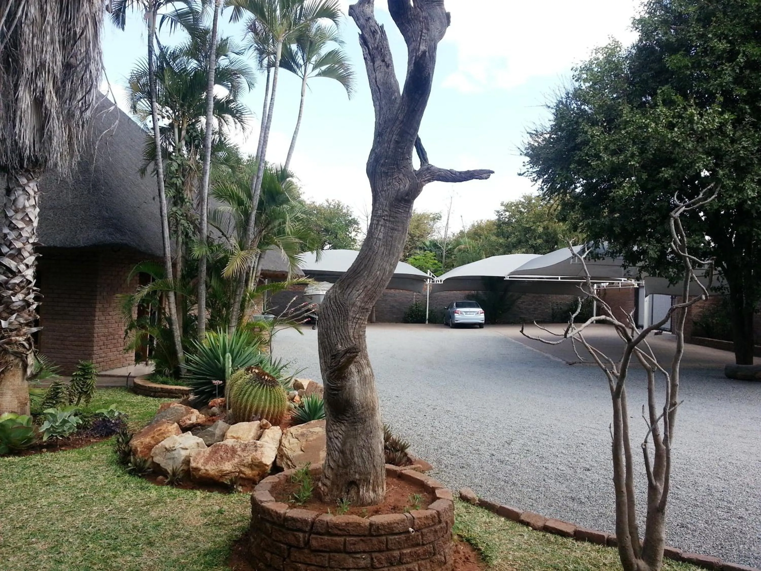 Garden in Siesta Guest House