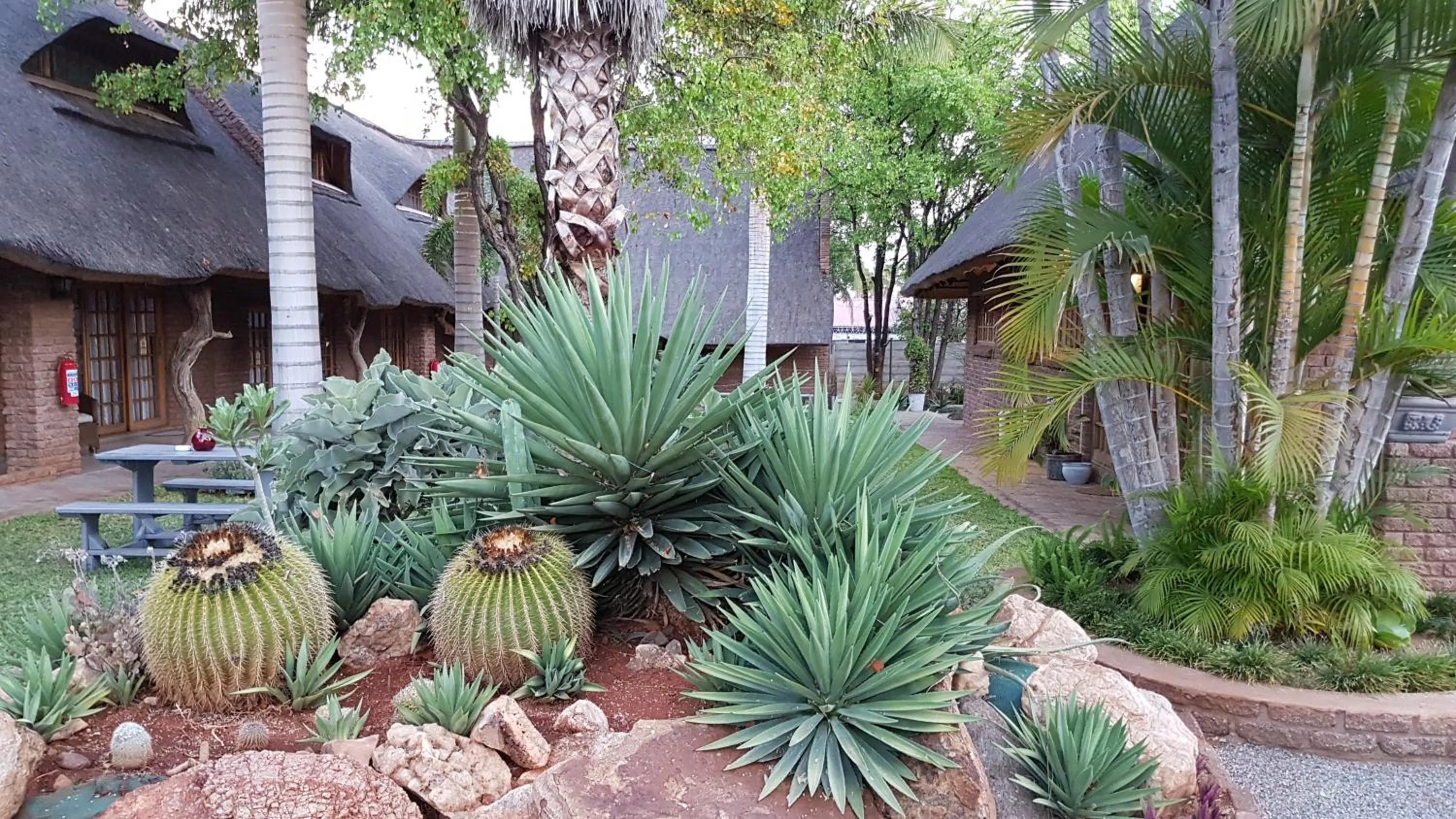 Garden in Siesta Guest House