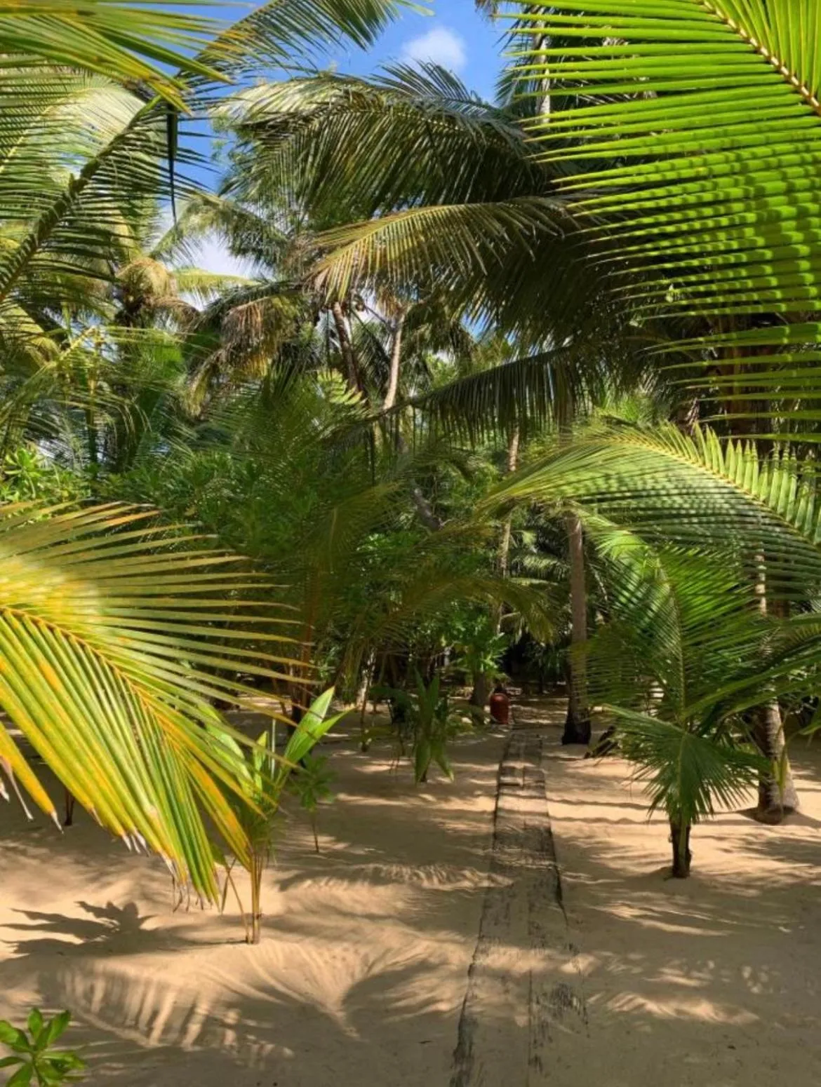 Ganesh Garden Beach Cabanas