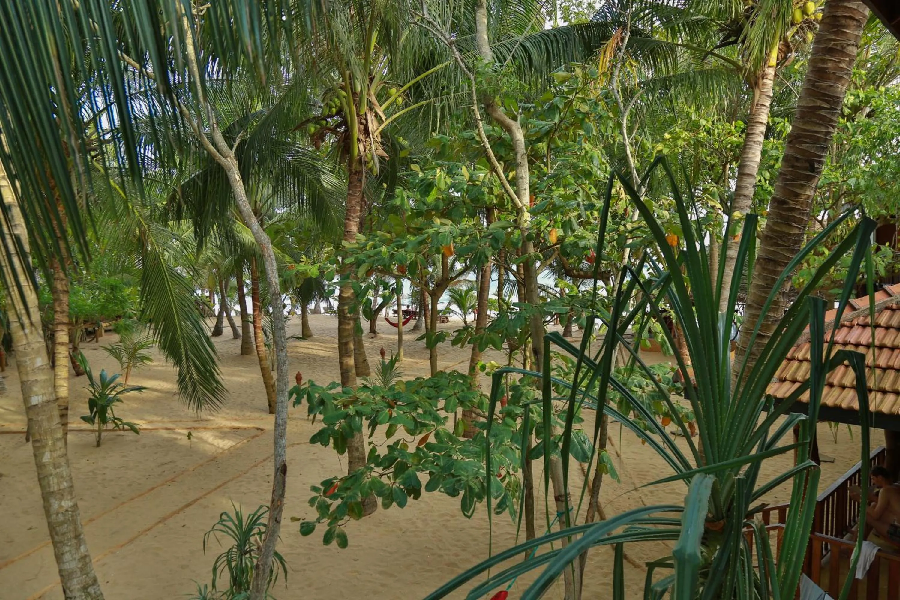Garden view in Ganesh Garden Beach Cabanas