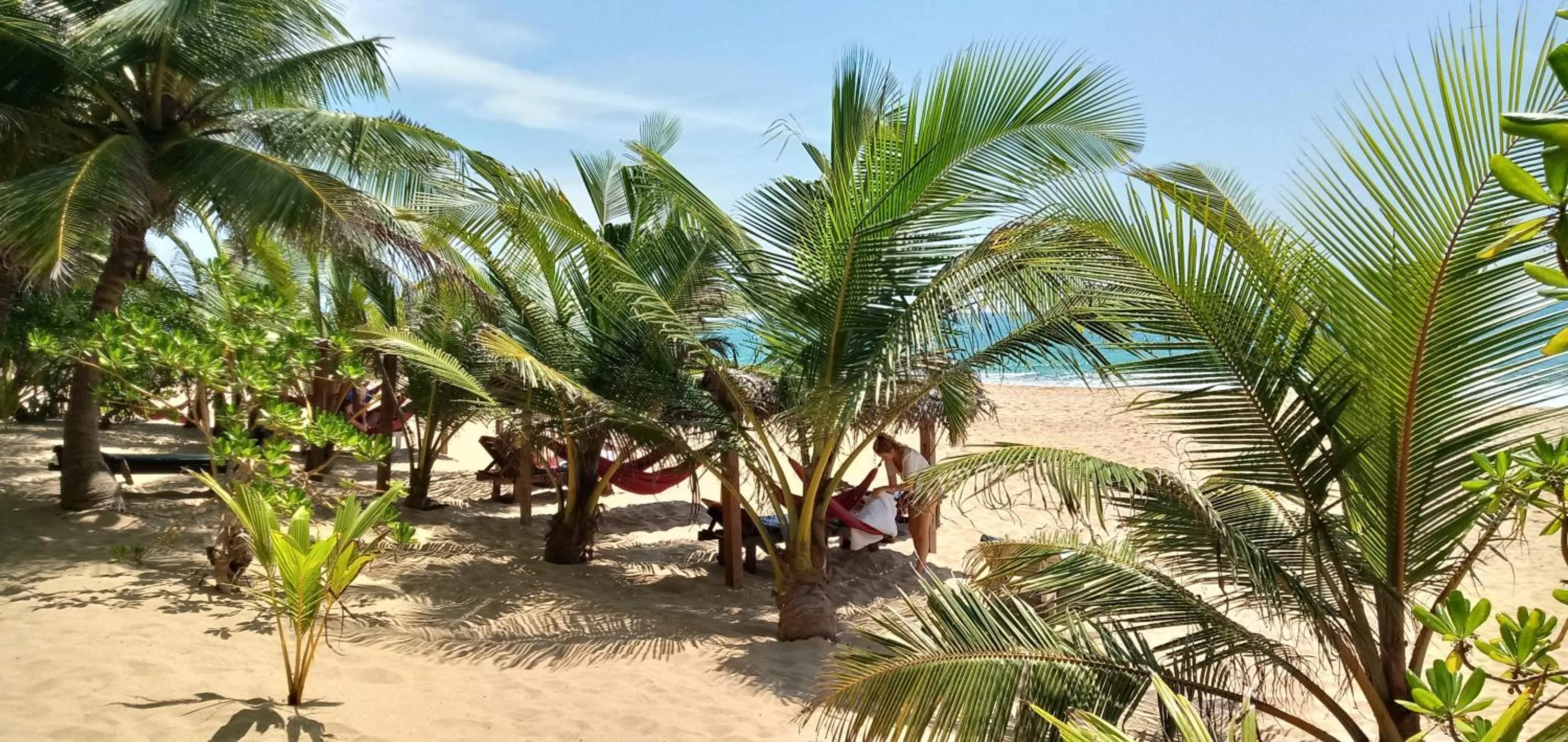 Beach in Ganesh Garden Beach Cabanas