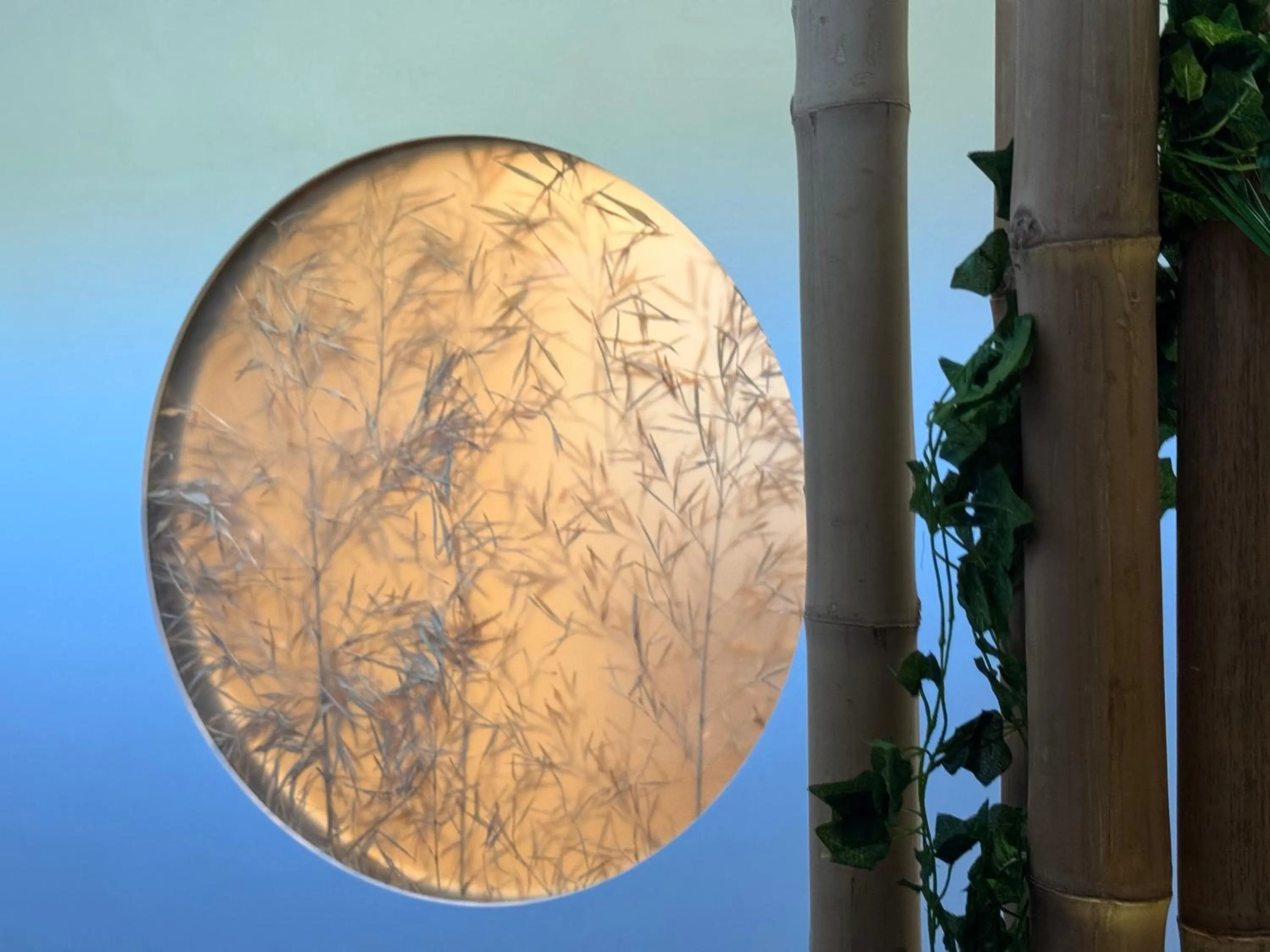 Spa and wellness centre/facilities in Lh Hotel Del Lago Bracciano