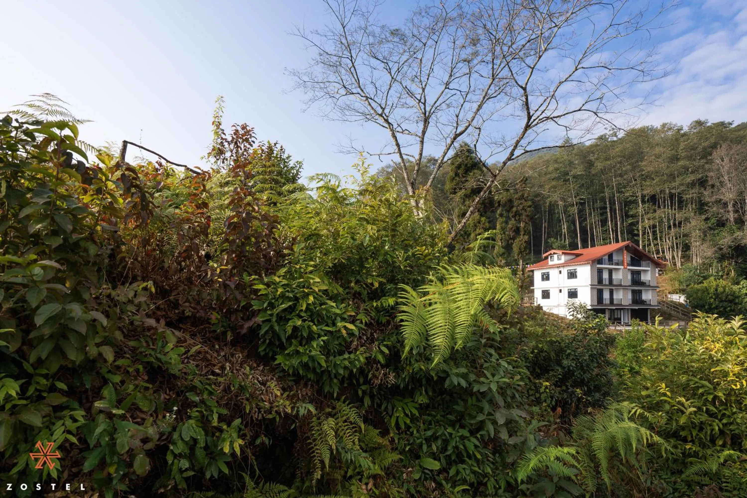 Property building in Zostel Rinchenpong (Pelling)