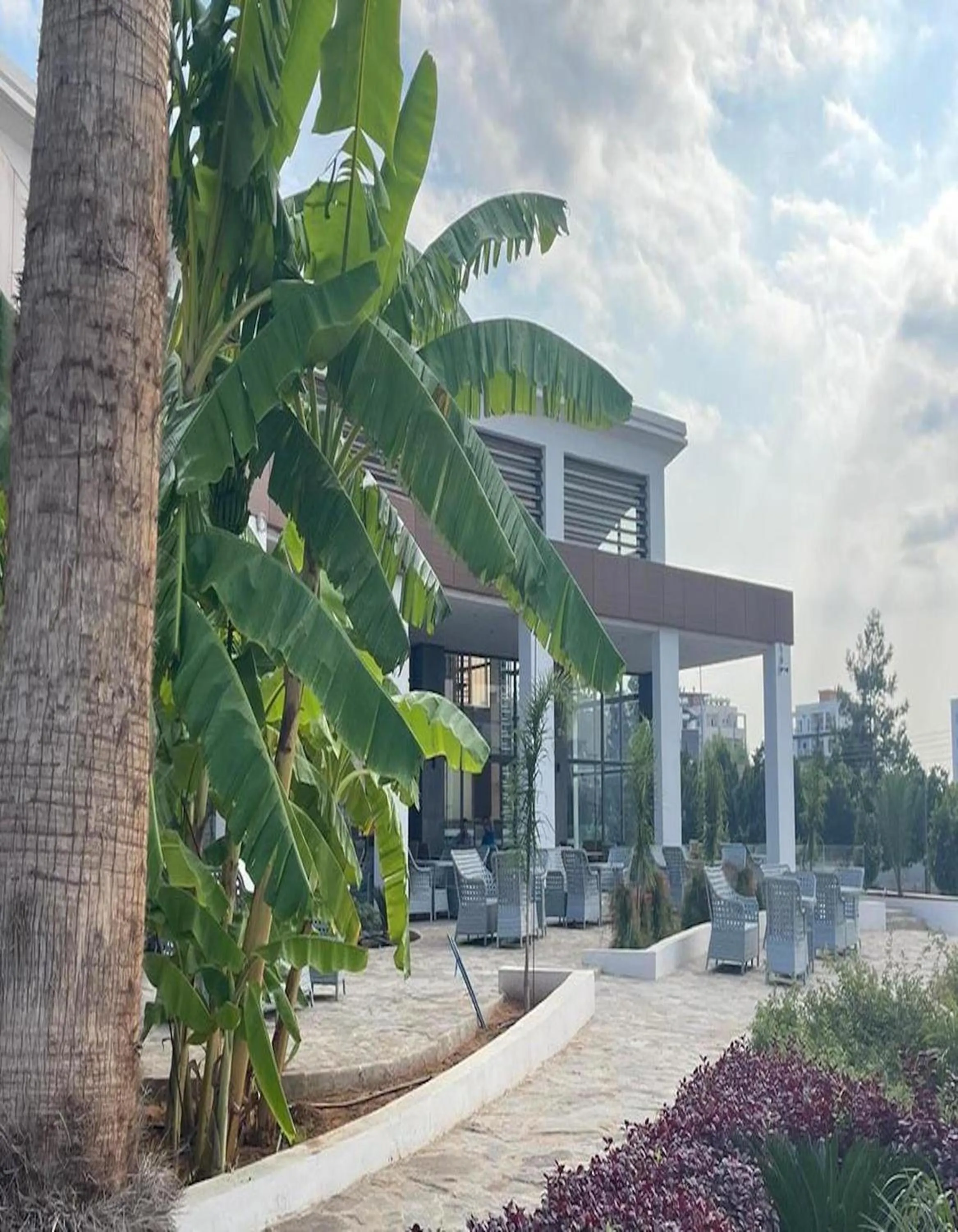 Garden in Ekor Elegance Hotel