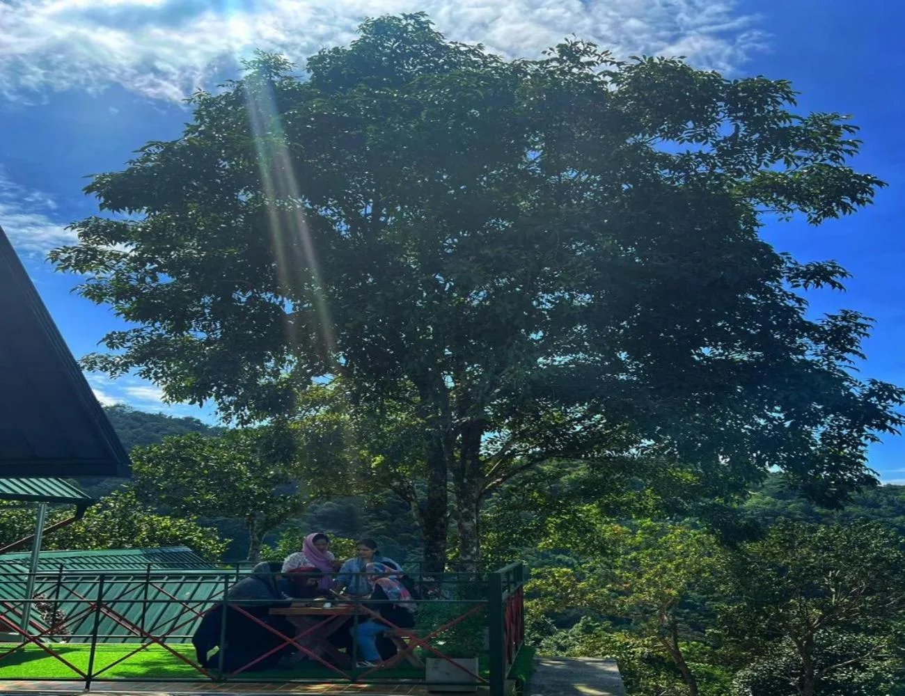 View (from property/room) in Vayalada View Point Resort