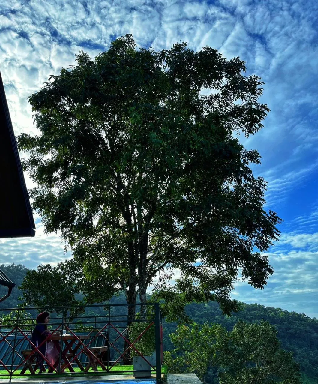 Day in Vayalada View Point Resort