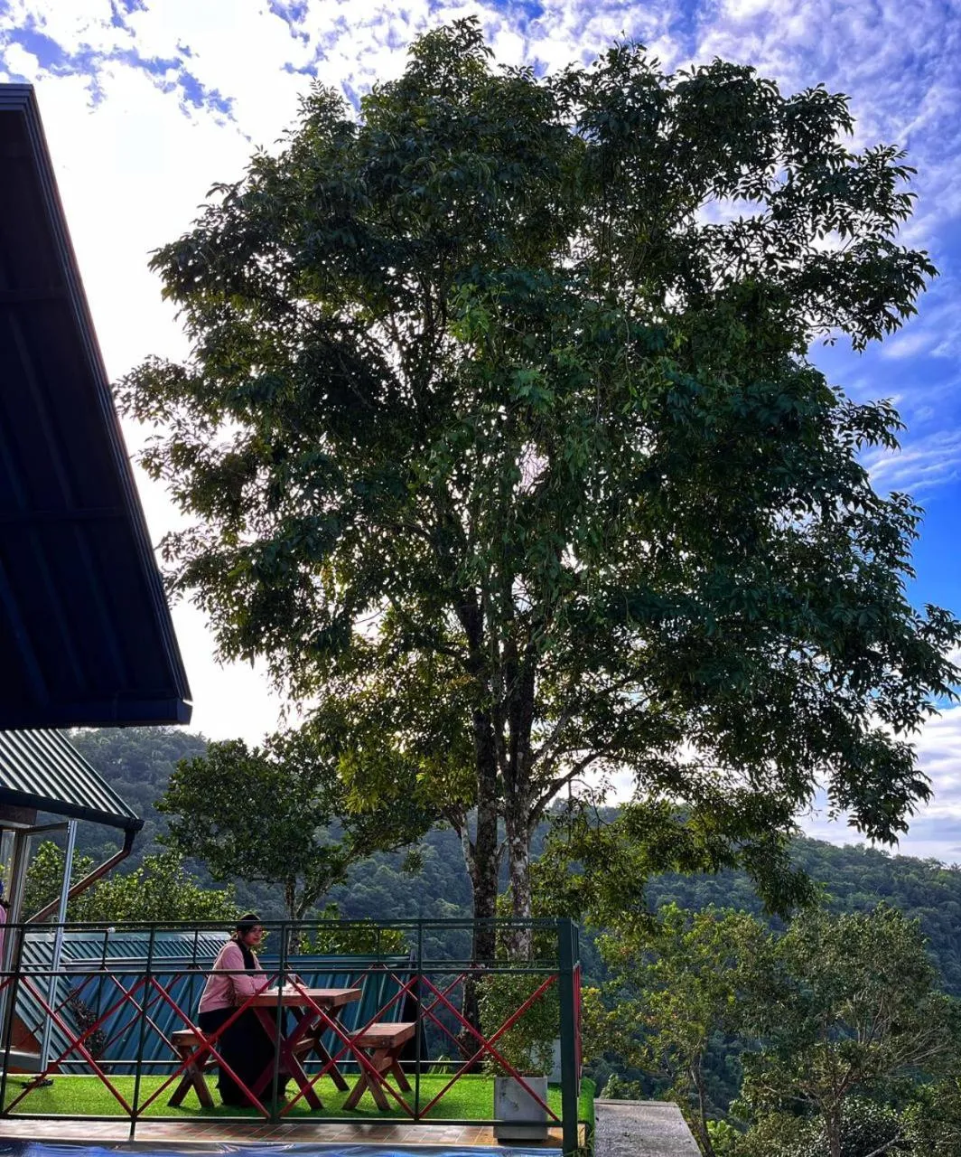 Day in Vayalada View Point Resort