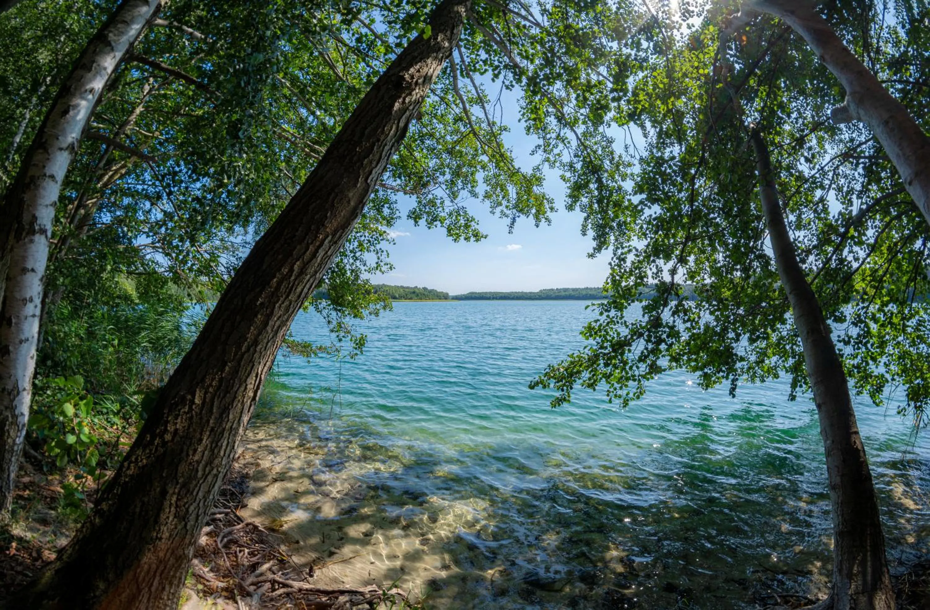 Natural landscape in Van der Valk Naturresort Drewitz