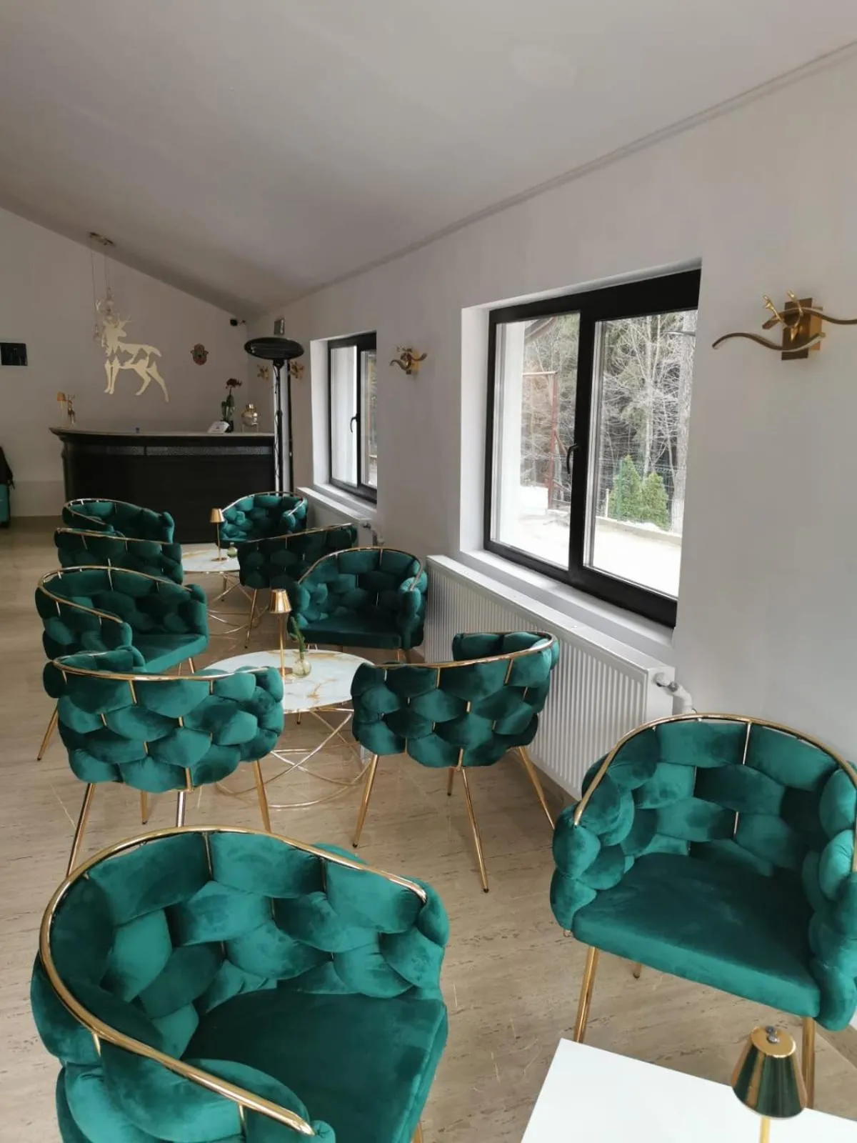 Communal lounge/ TV room in Cerbul Chalét Accommodation & Wellness