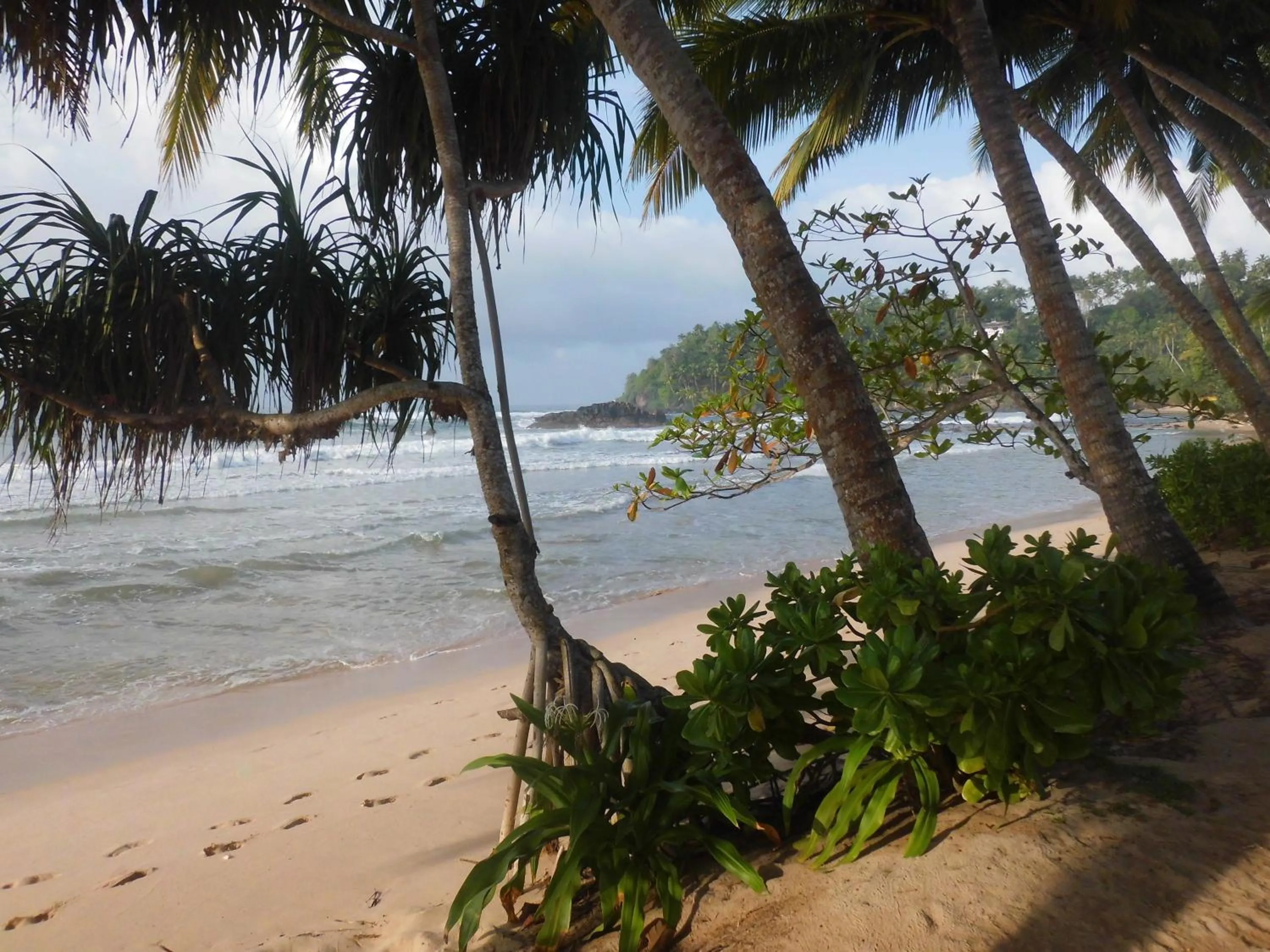 Day in Paradise Beach Club