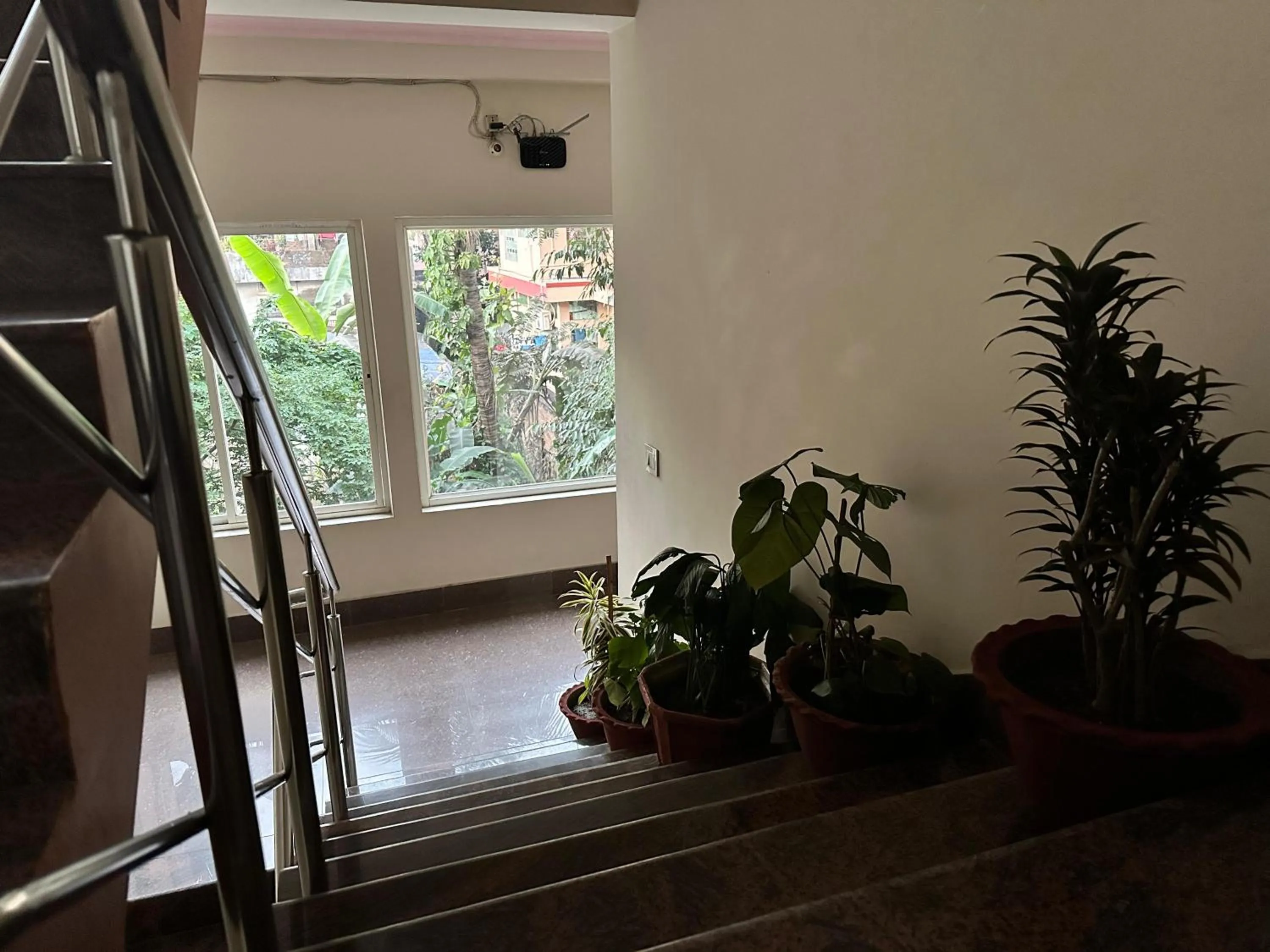 Garden in The Dew Drop Hotel