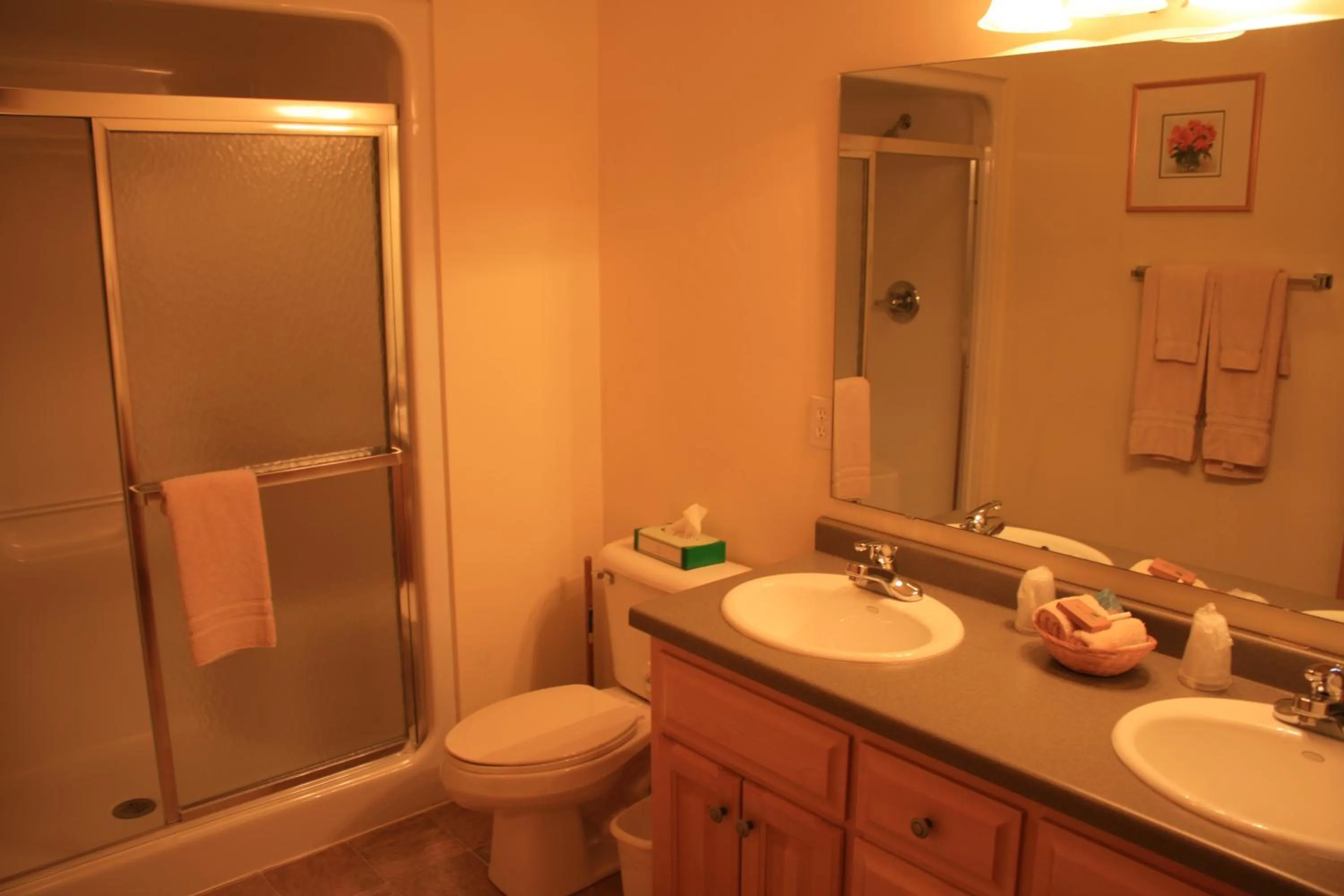 Shower in Birchwood Lodge