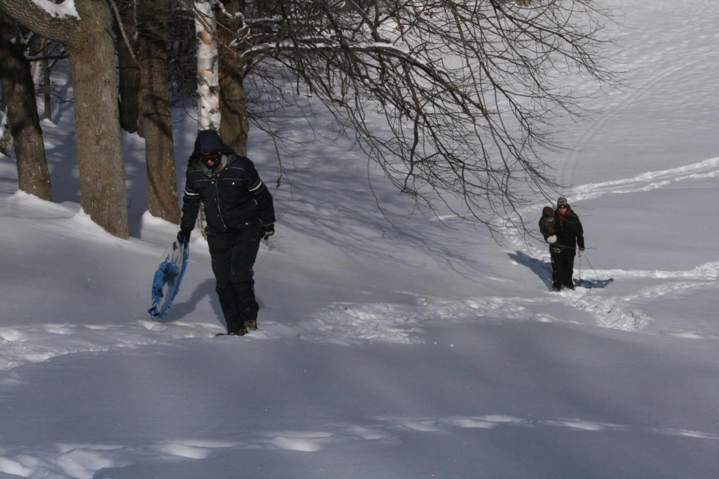 Winter in Birchwood Lodge