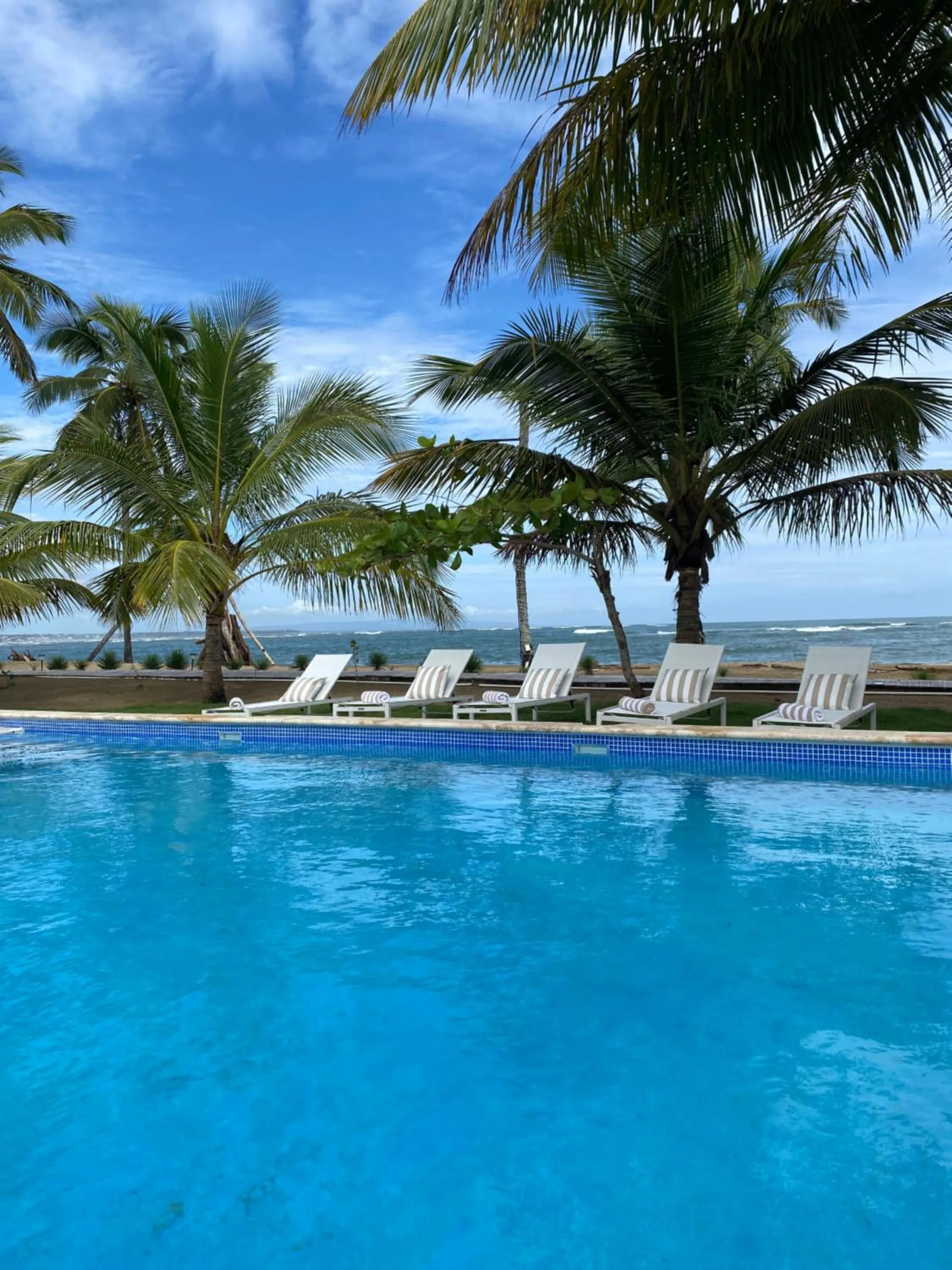 Natural landscape in The Palm Bay Club Lodge