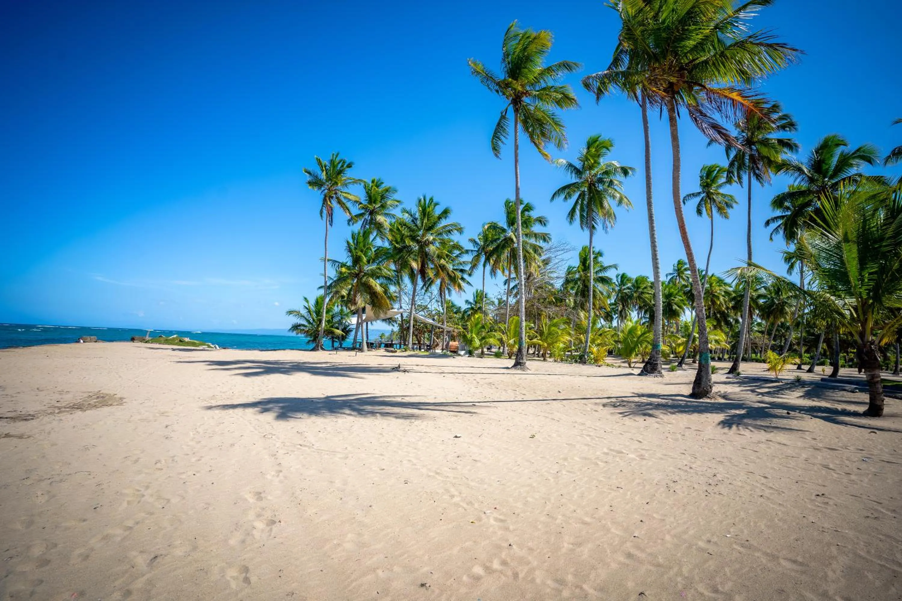 Natural landscape in The Palm Bay Club Lodge