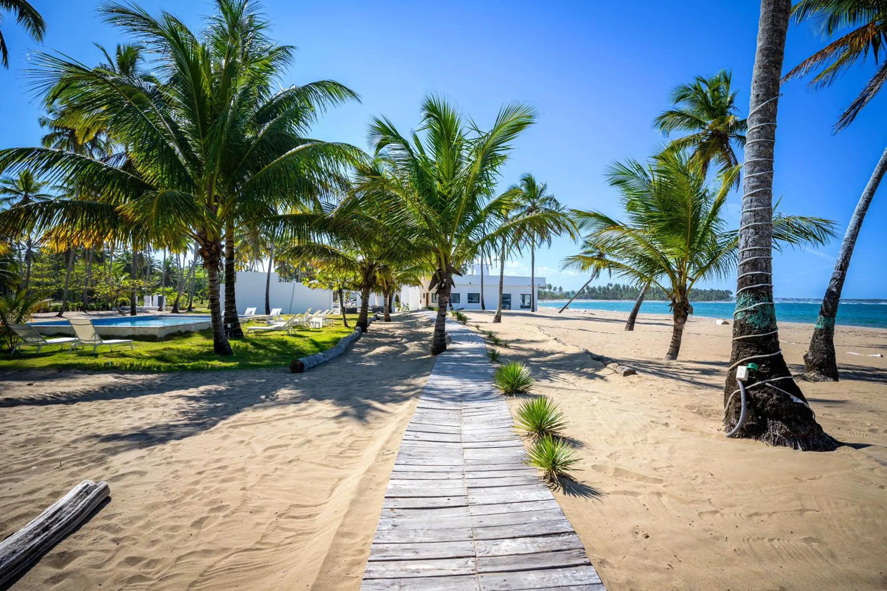 Beach in The Palm Bay Club Lodge