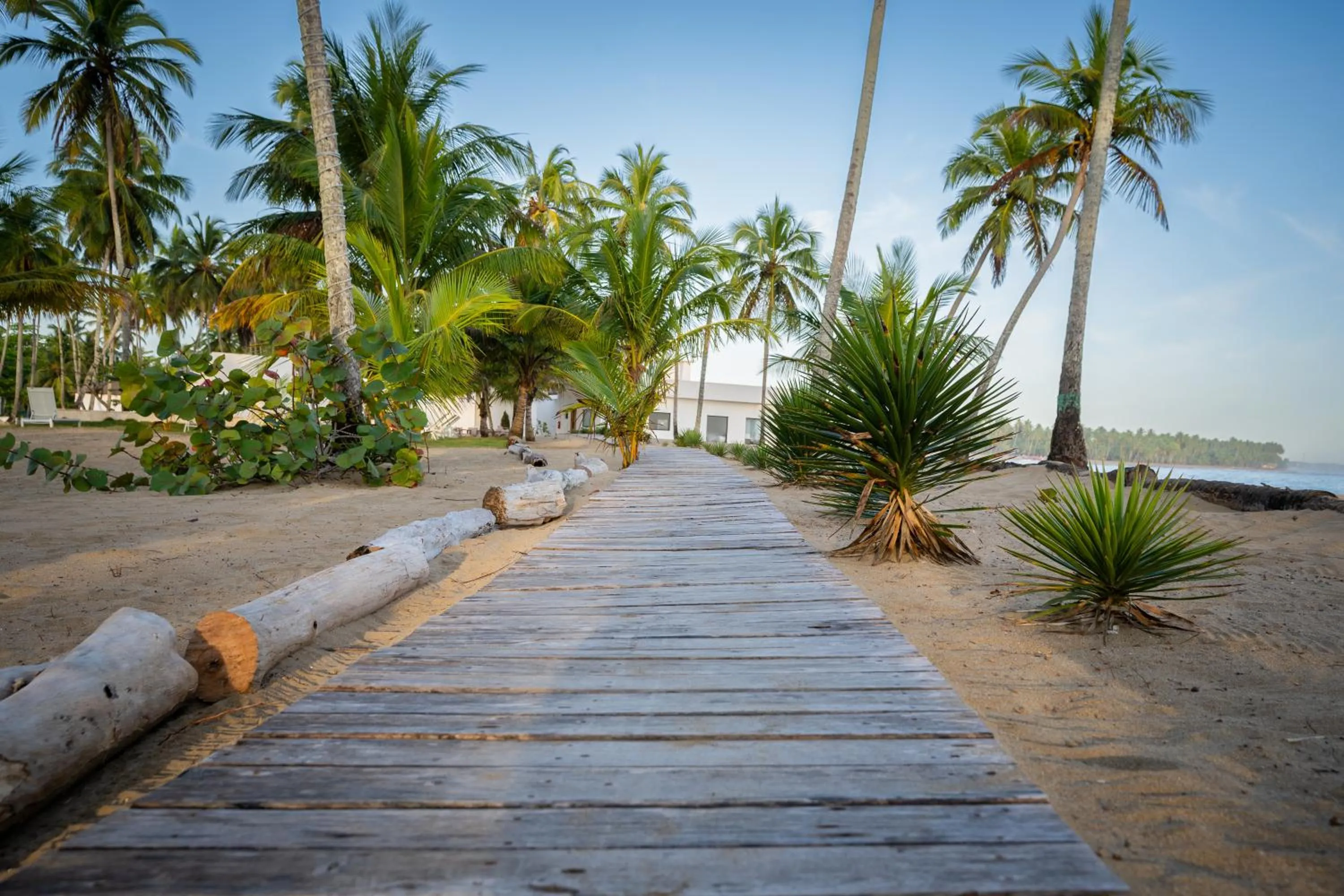 Beach in The Palm Bay Club Lodge