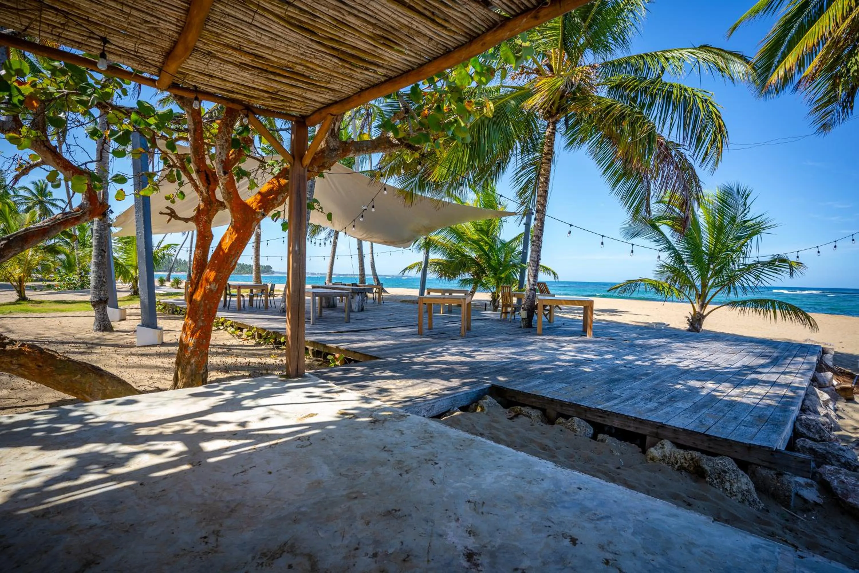 Lounge or bar in The Palm Bay Club Lodge