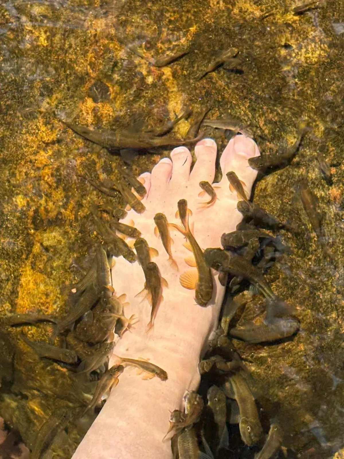 Public Bath in Knuckles Range Bungalow