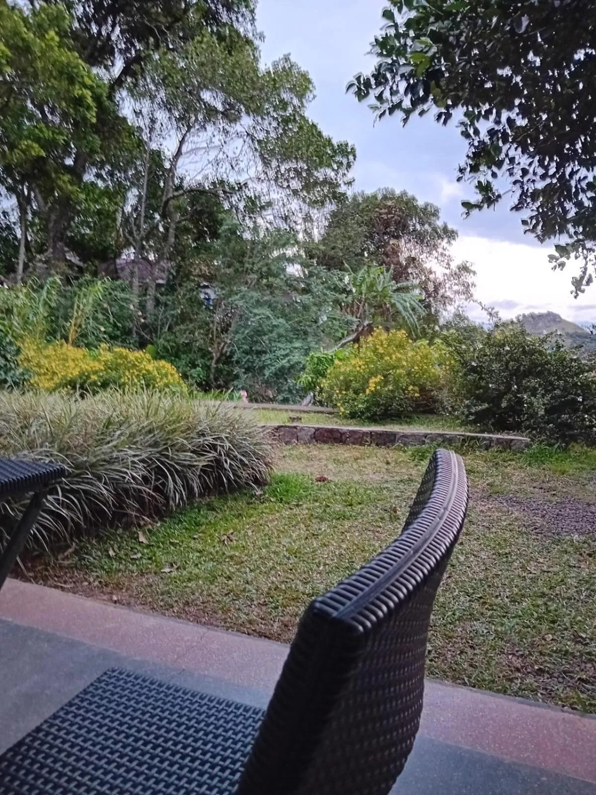 Garden view in Knuckles Range Bungalow