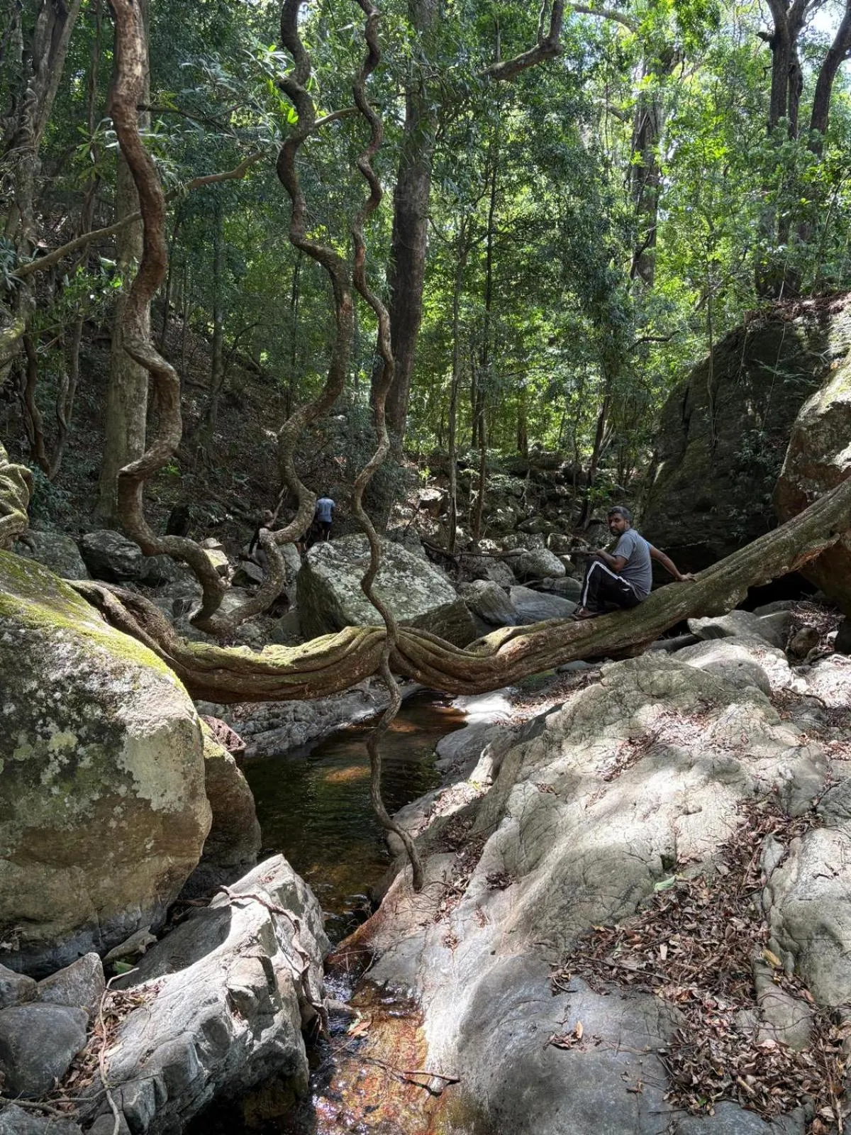 Hiking in Knuckles Range Bungalow