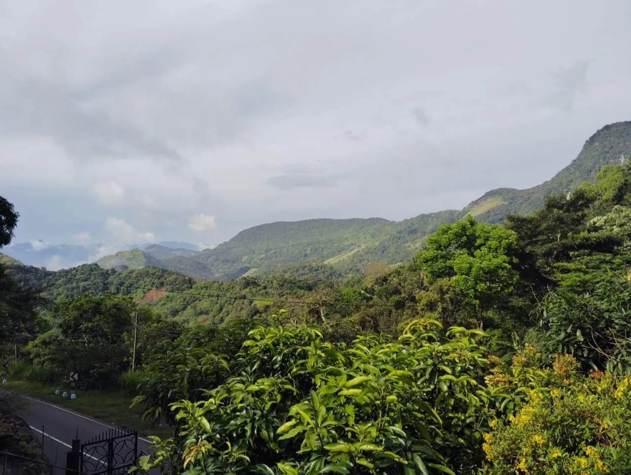 Mountain view in Knuckles Range Bungalow
