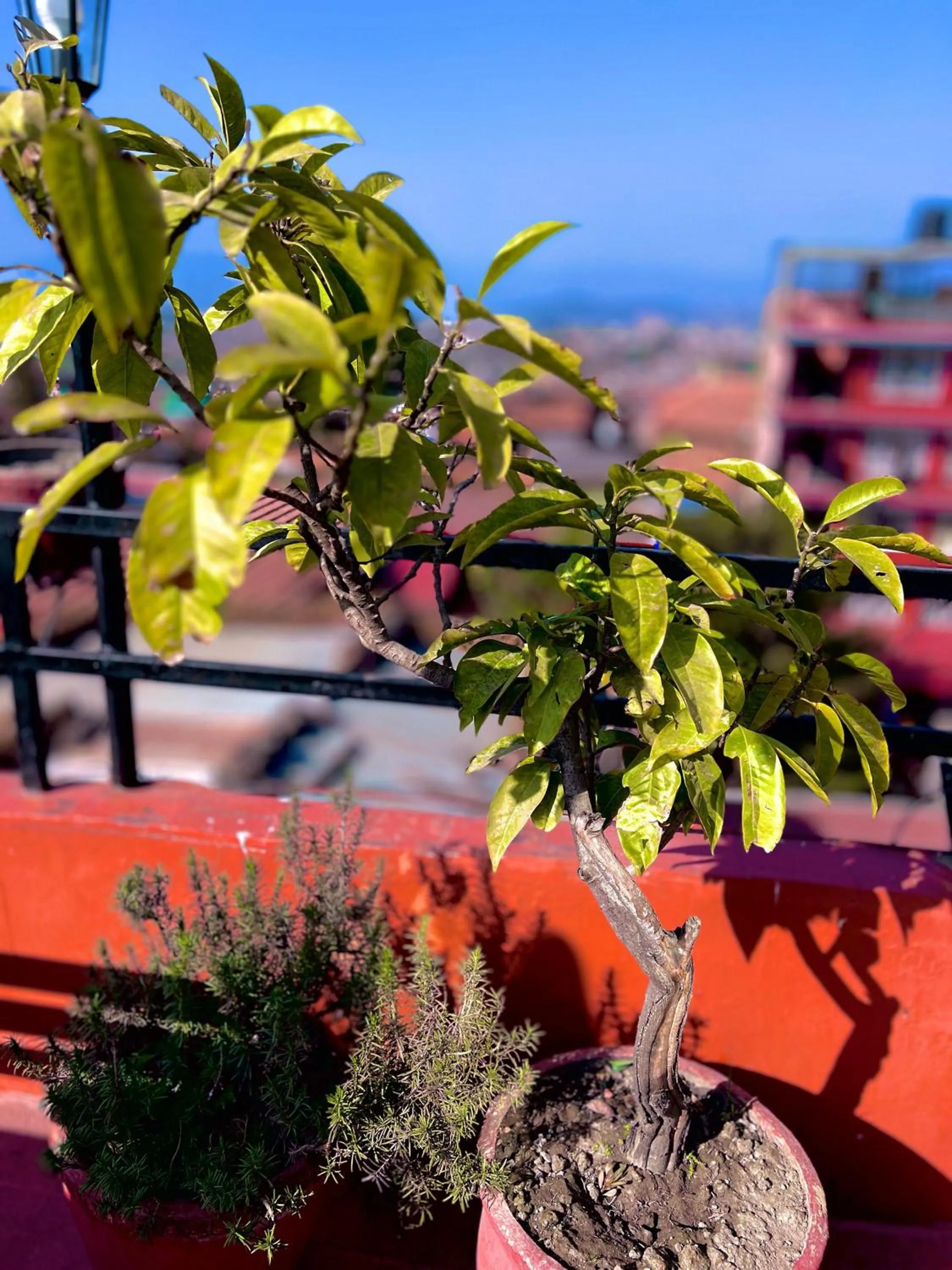 Day in Taleju Grand Hotel