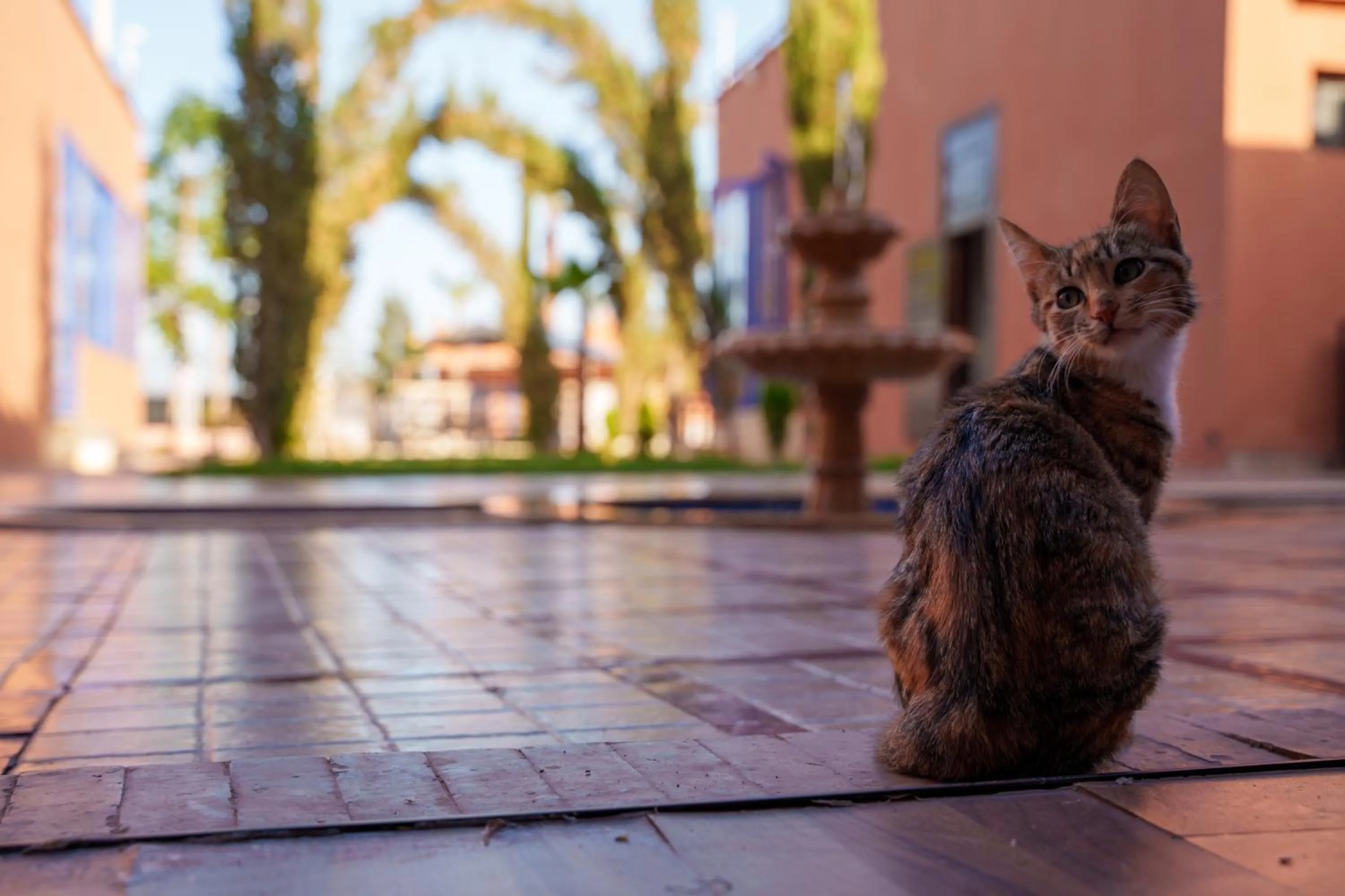 Lobby or reception in Whisper Hotel