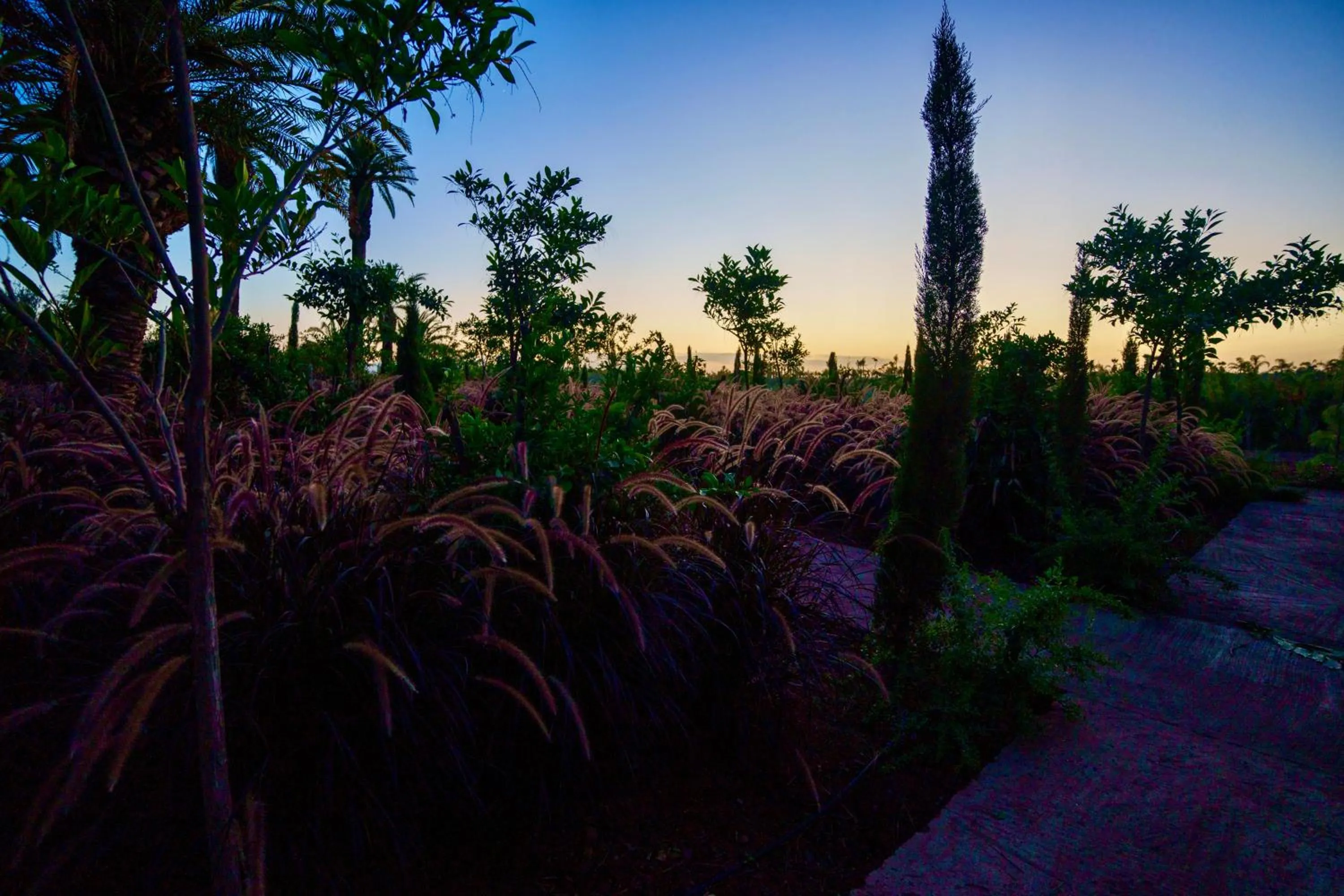 Spring in Whisper Hotel